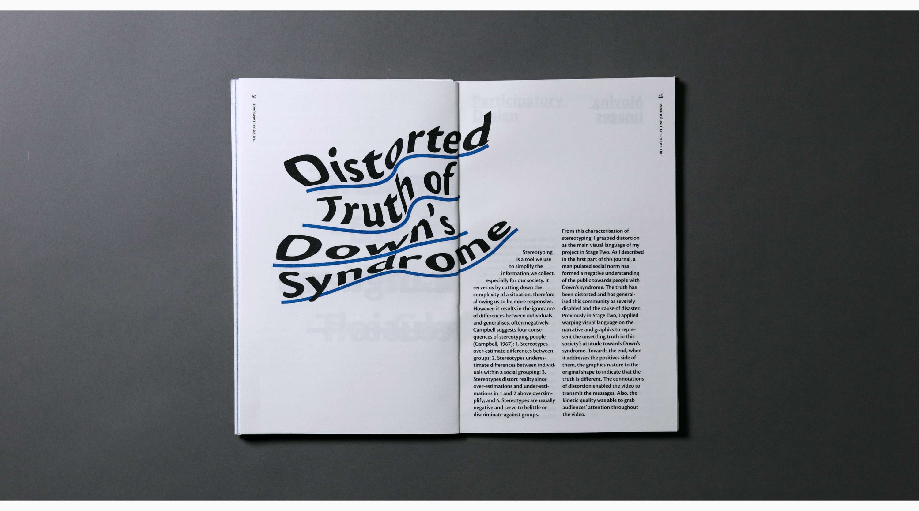 Project Journal Editorial II by Longbin Li