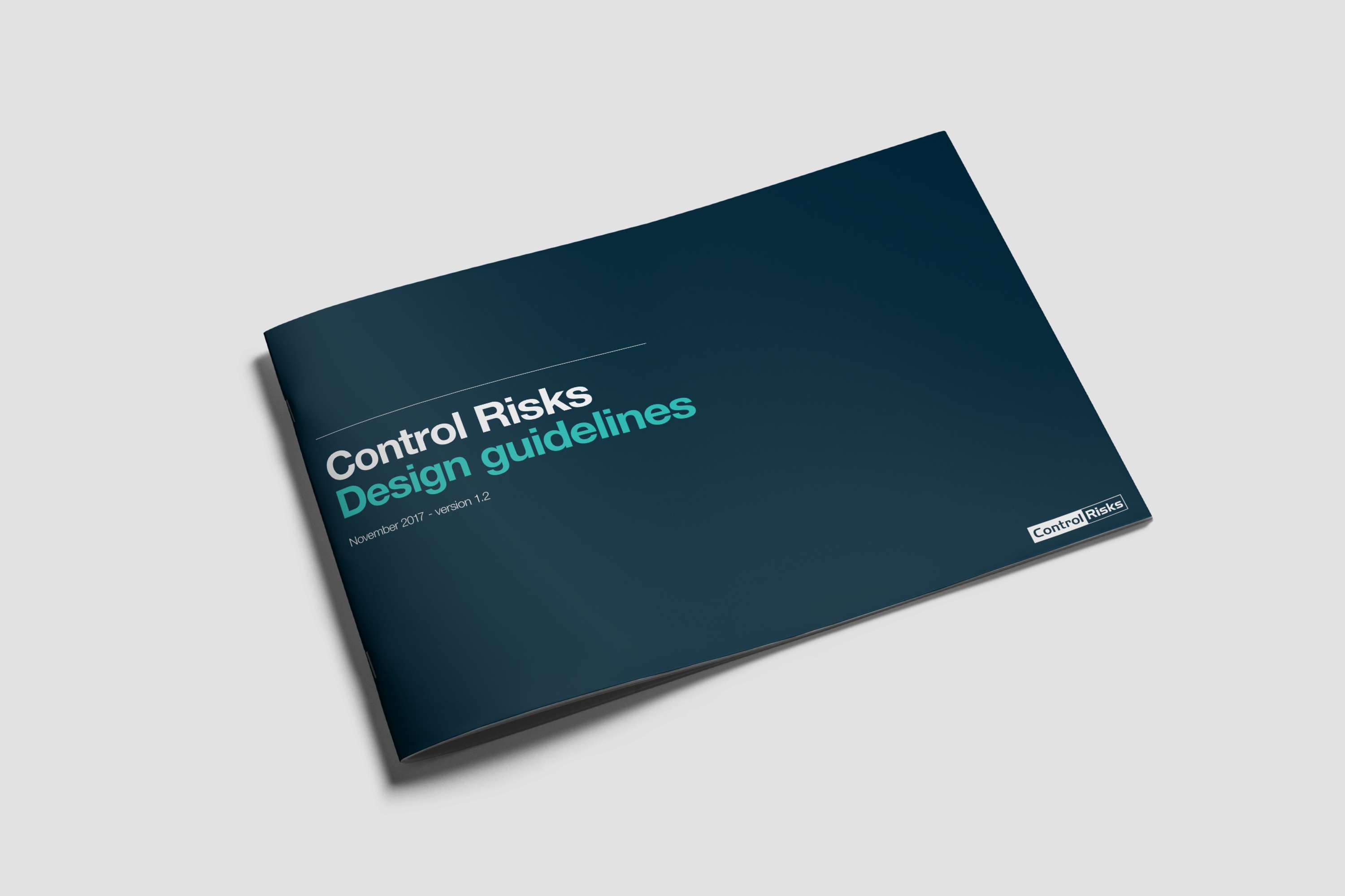 Control Risks by darren chittock