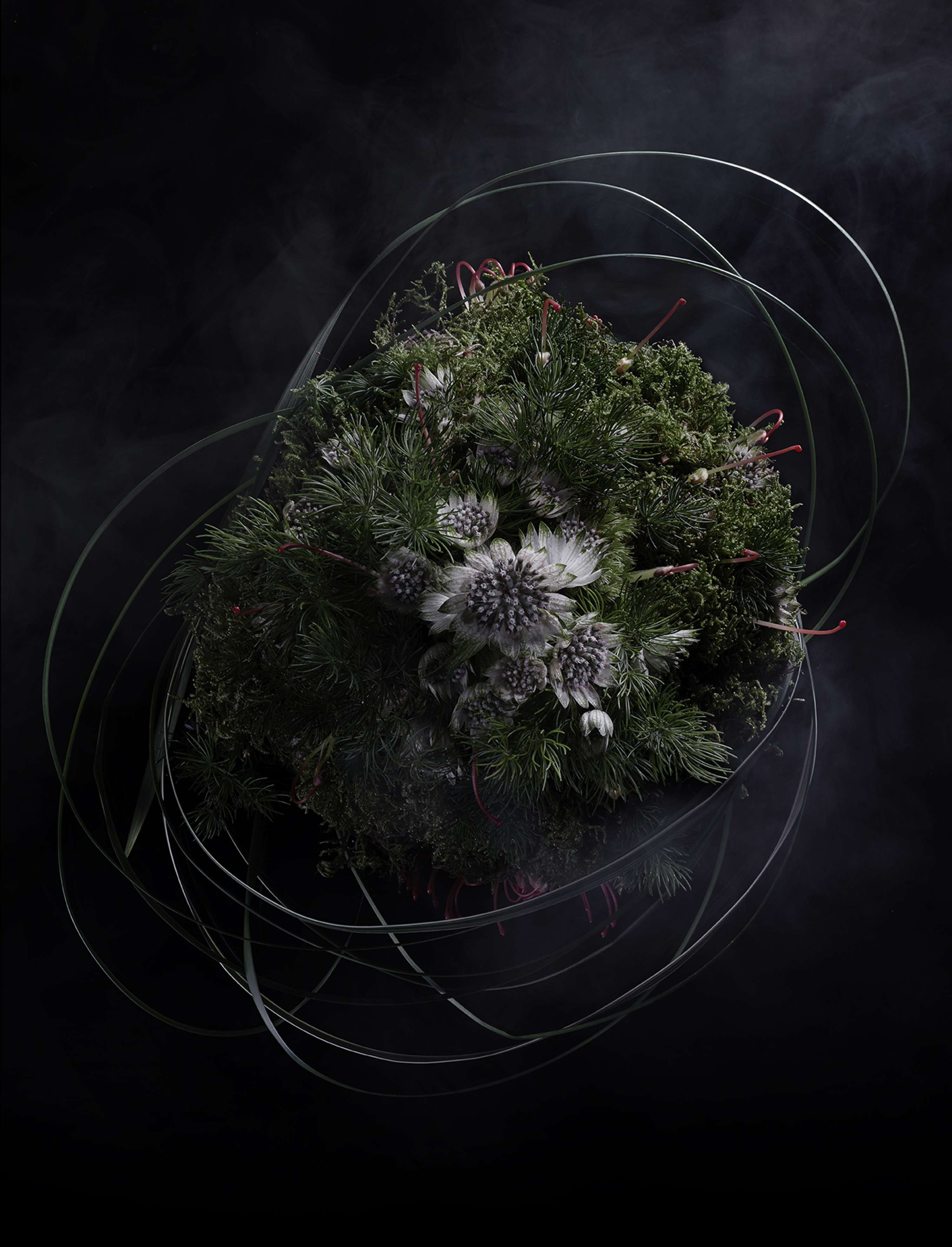 Interference Project by Ben Reeves