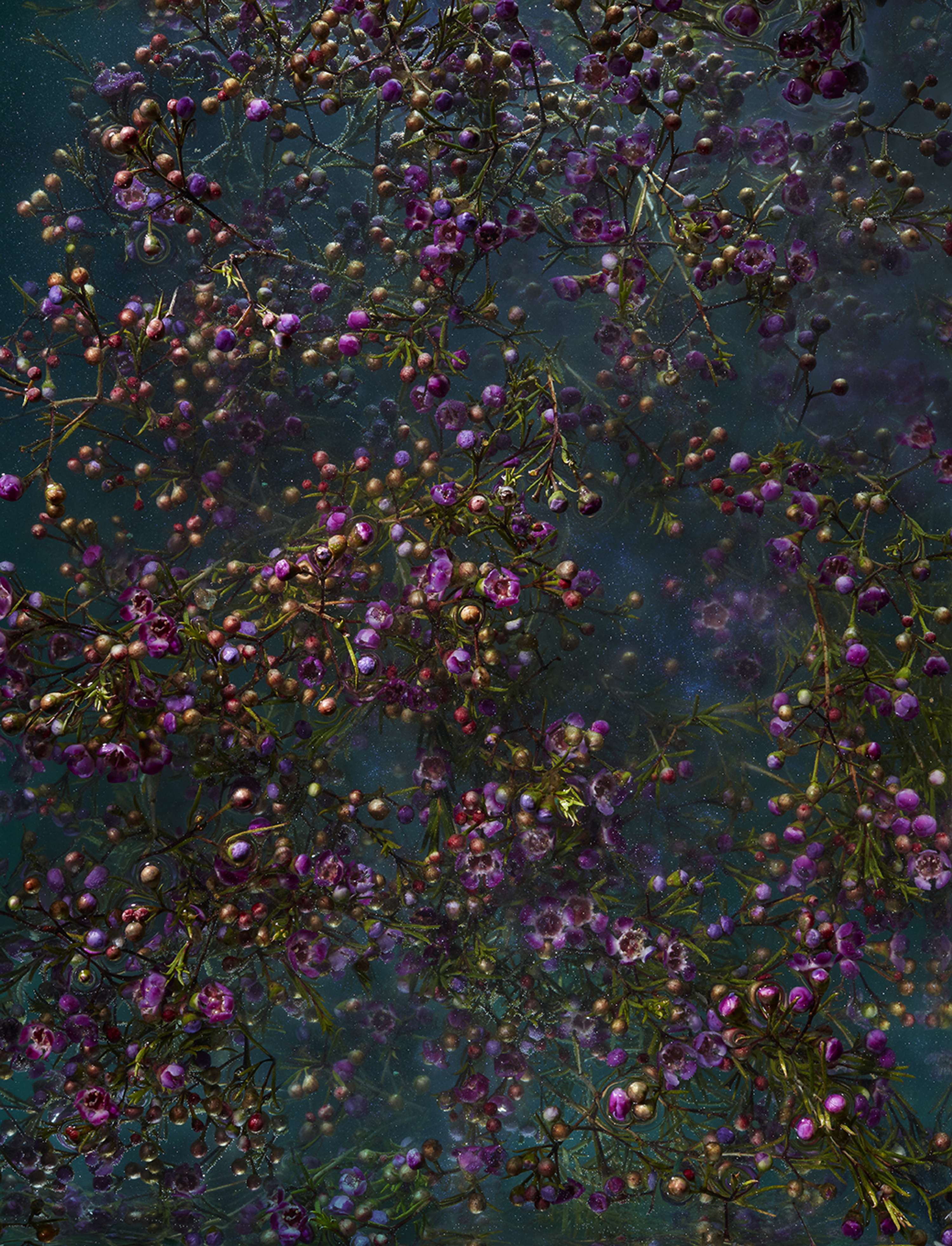 Interference Project by Ben Reeves
