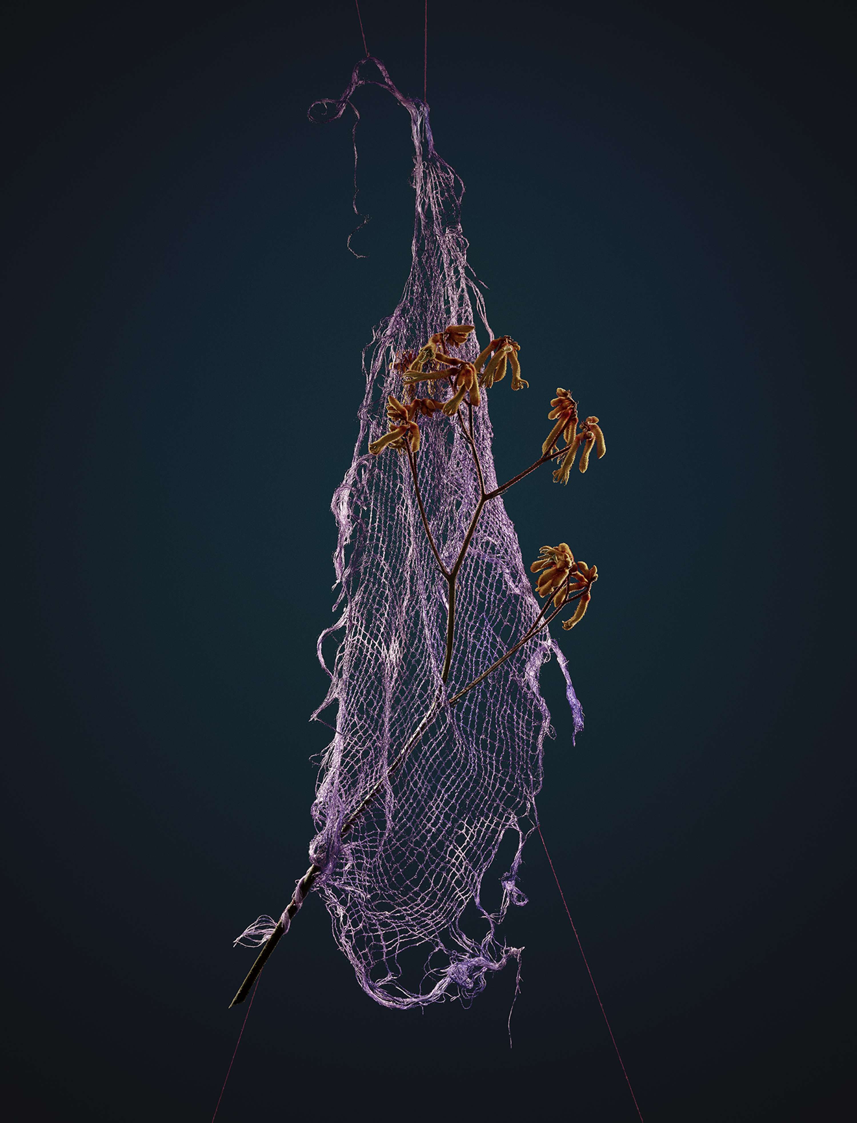 Interference Project by Ben Reeves