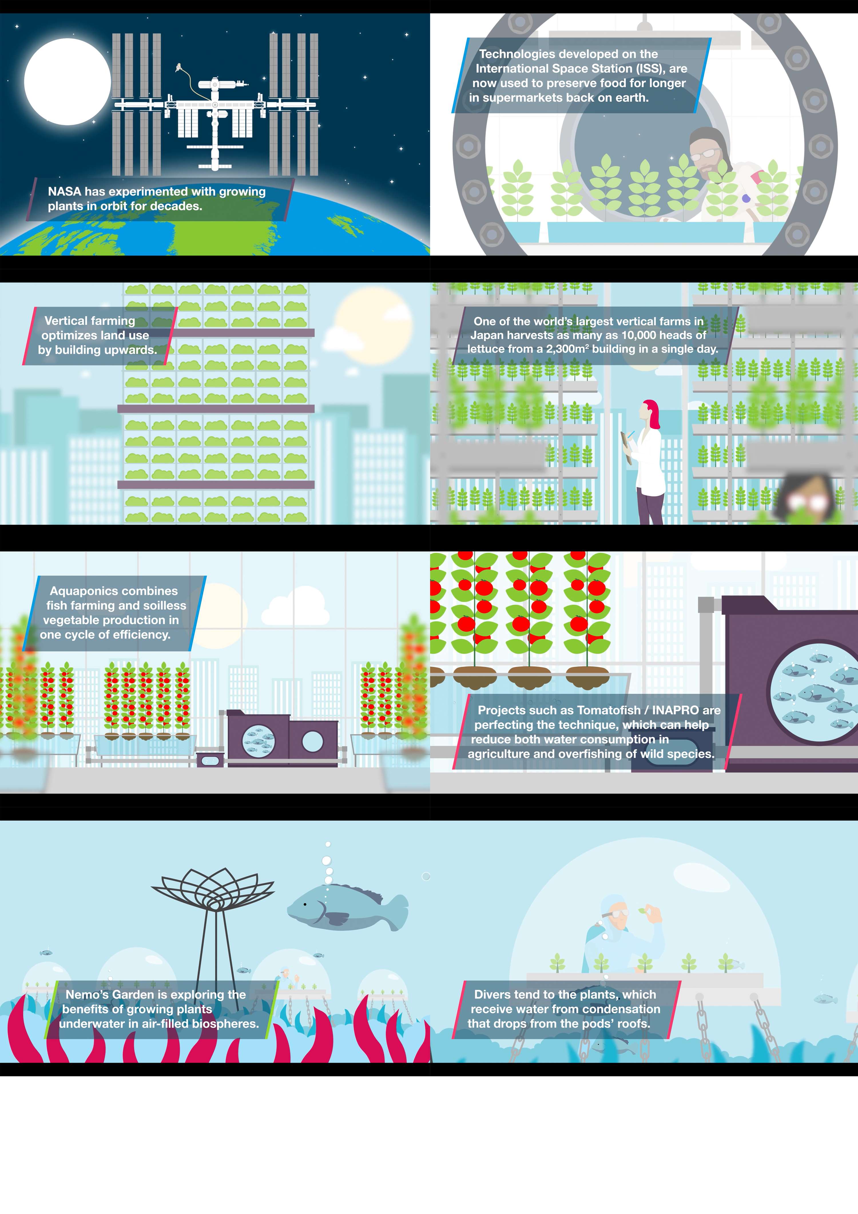 Bayer Animation Assets by Jamie Blackett