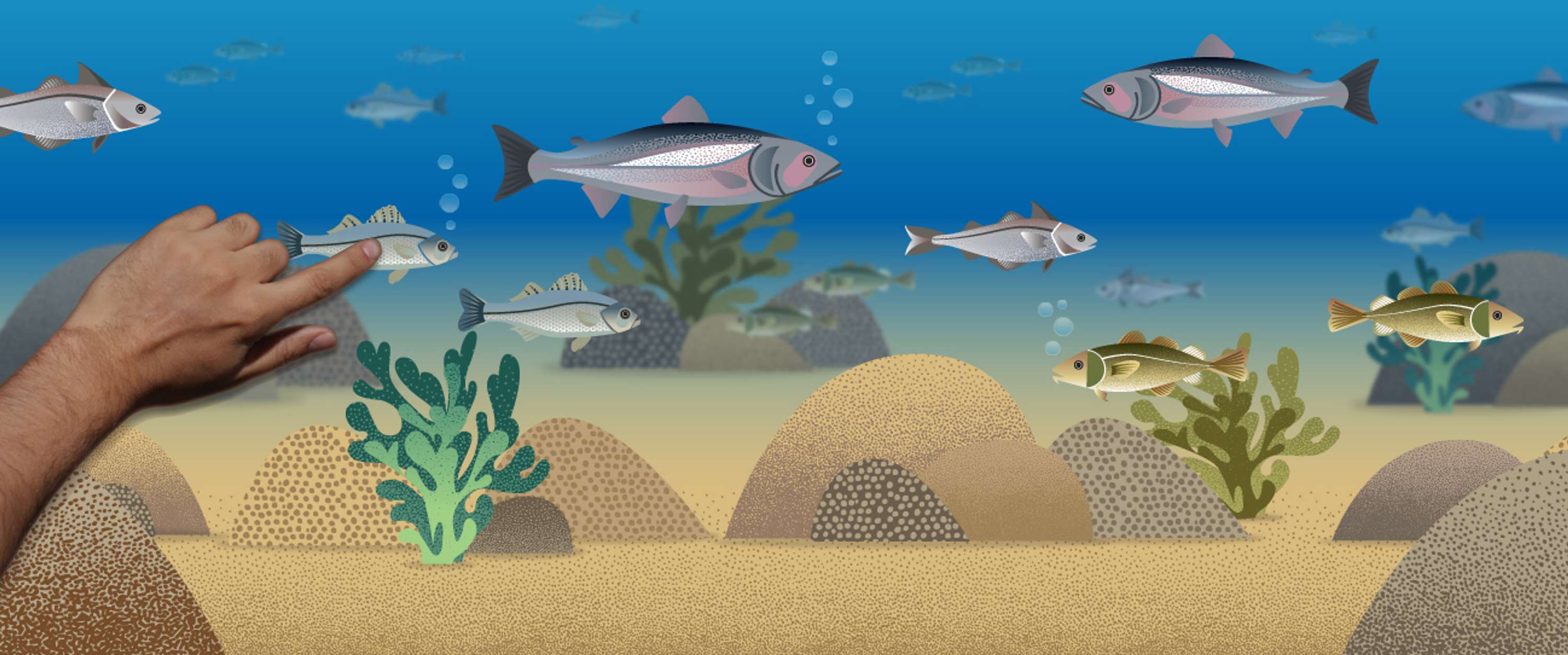 Selfridge's Project Ocean by Daniel McEwen