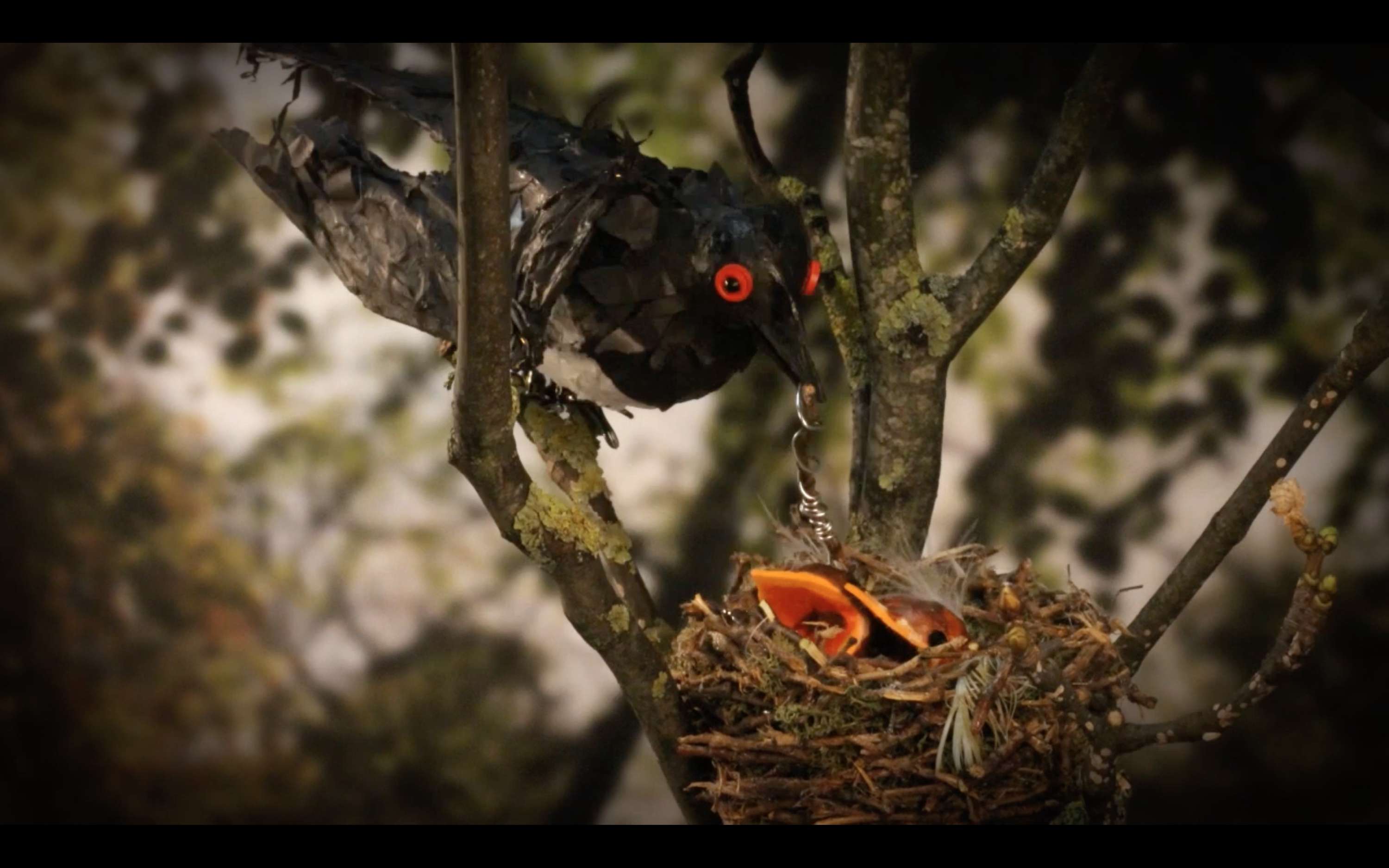 Early Bird - Not Enough Time by Oliver Schilke