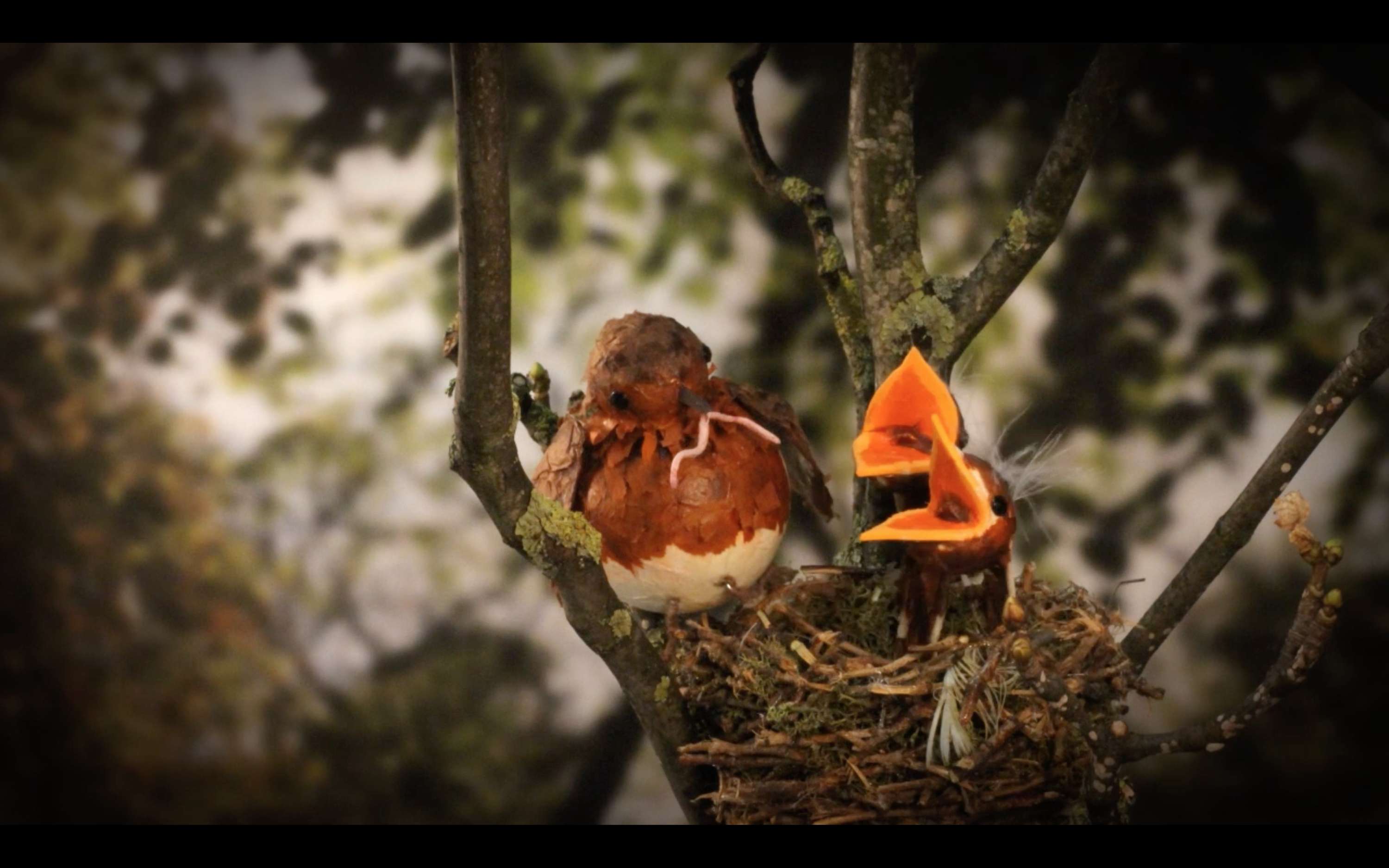 Early Bird - Not Enough Time by Oliver Schilke