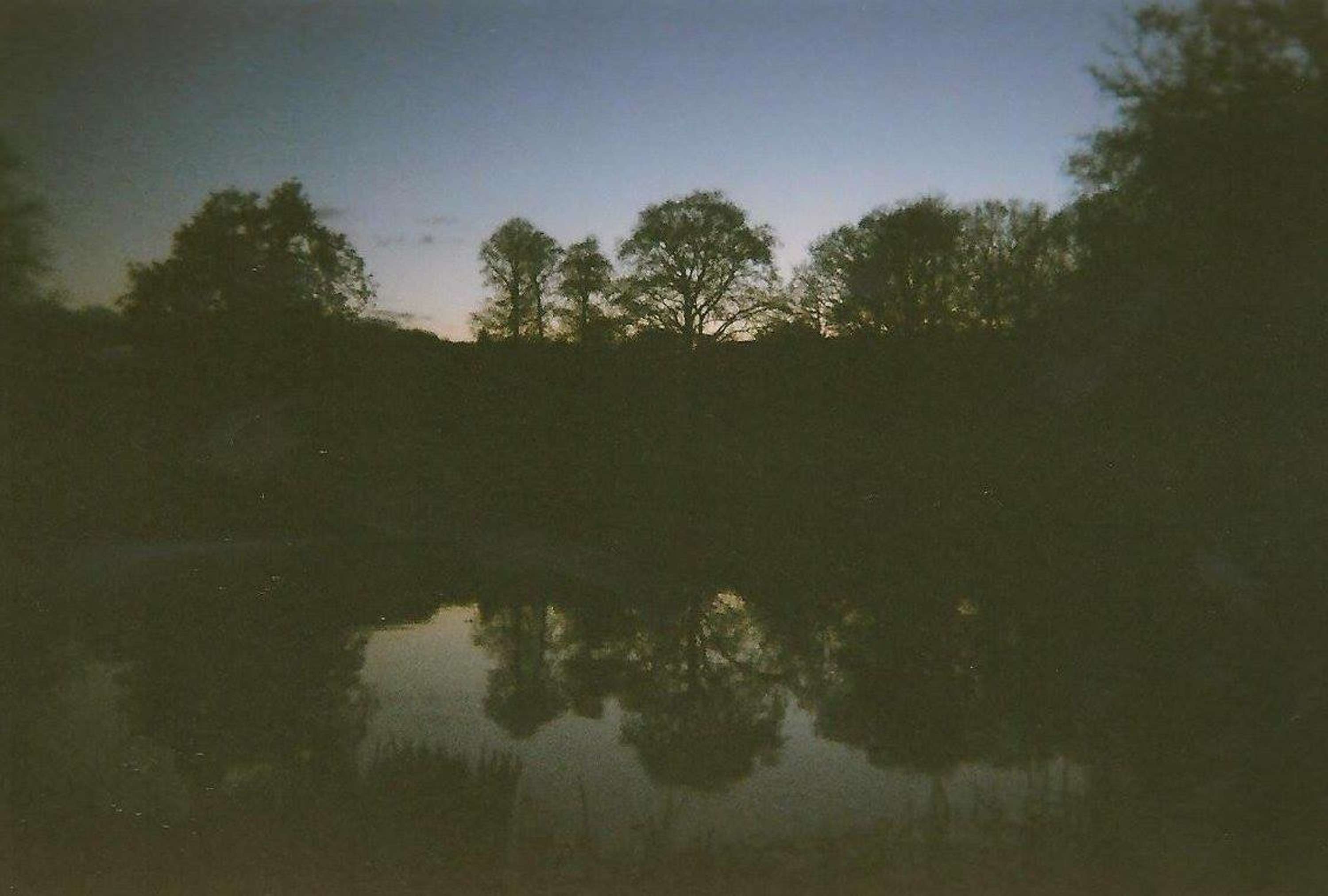 Scenic by Kymberley Apiro