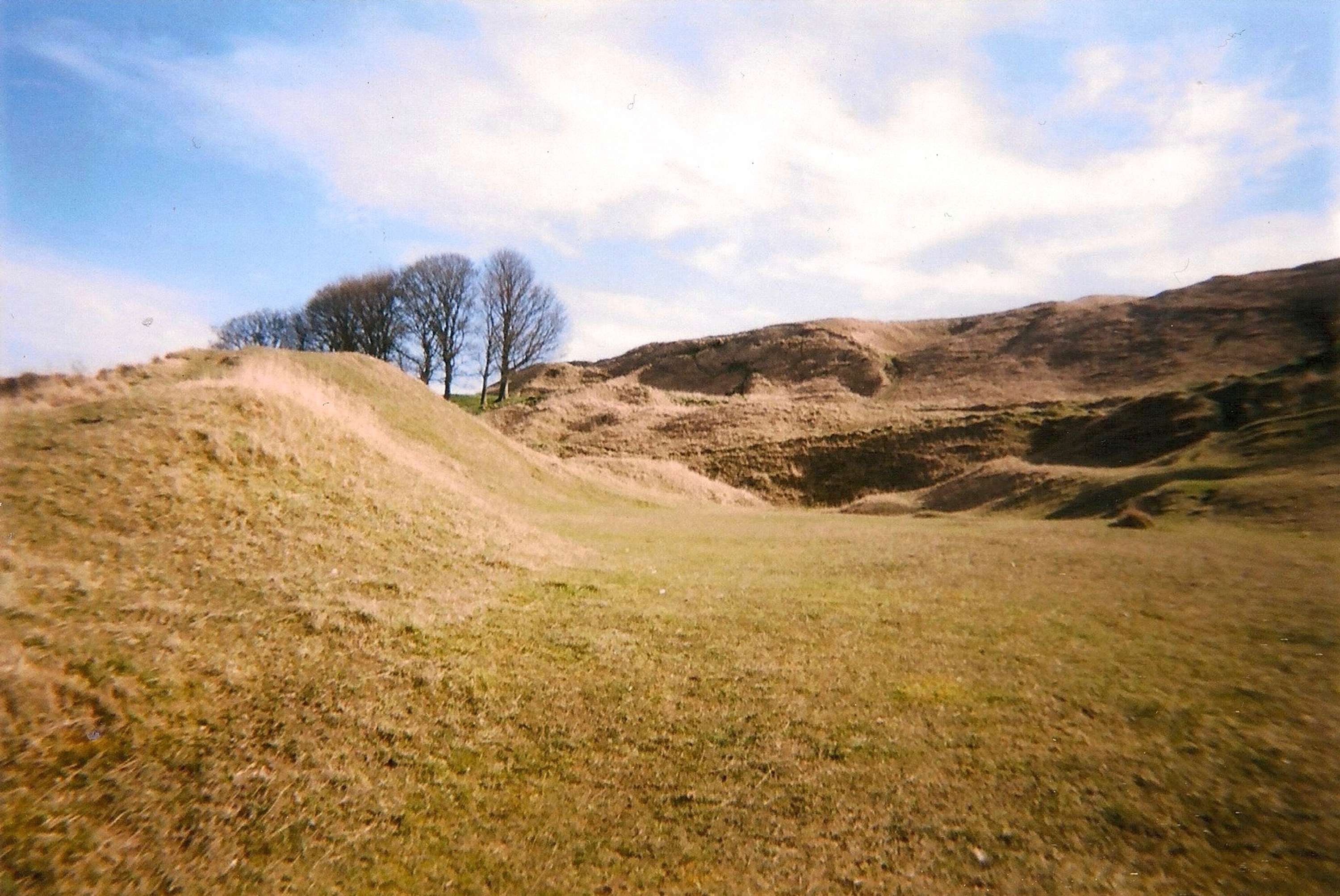 Scenic by Kymberley Apiro