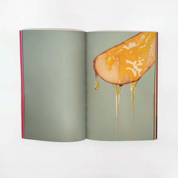 Food In Motion Dissertation Publication by James Gowdy