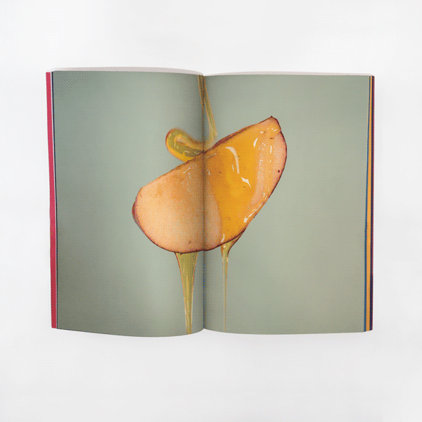 Food In Motion Dissertation Publication by James Gowdy