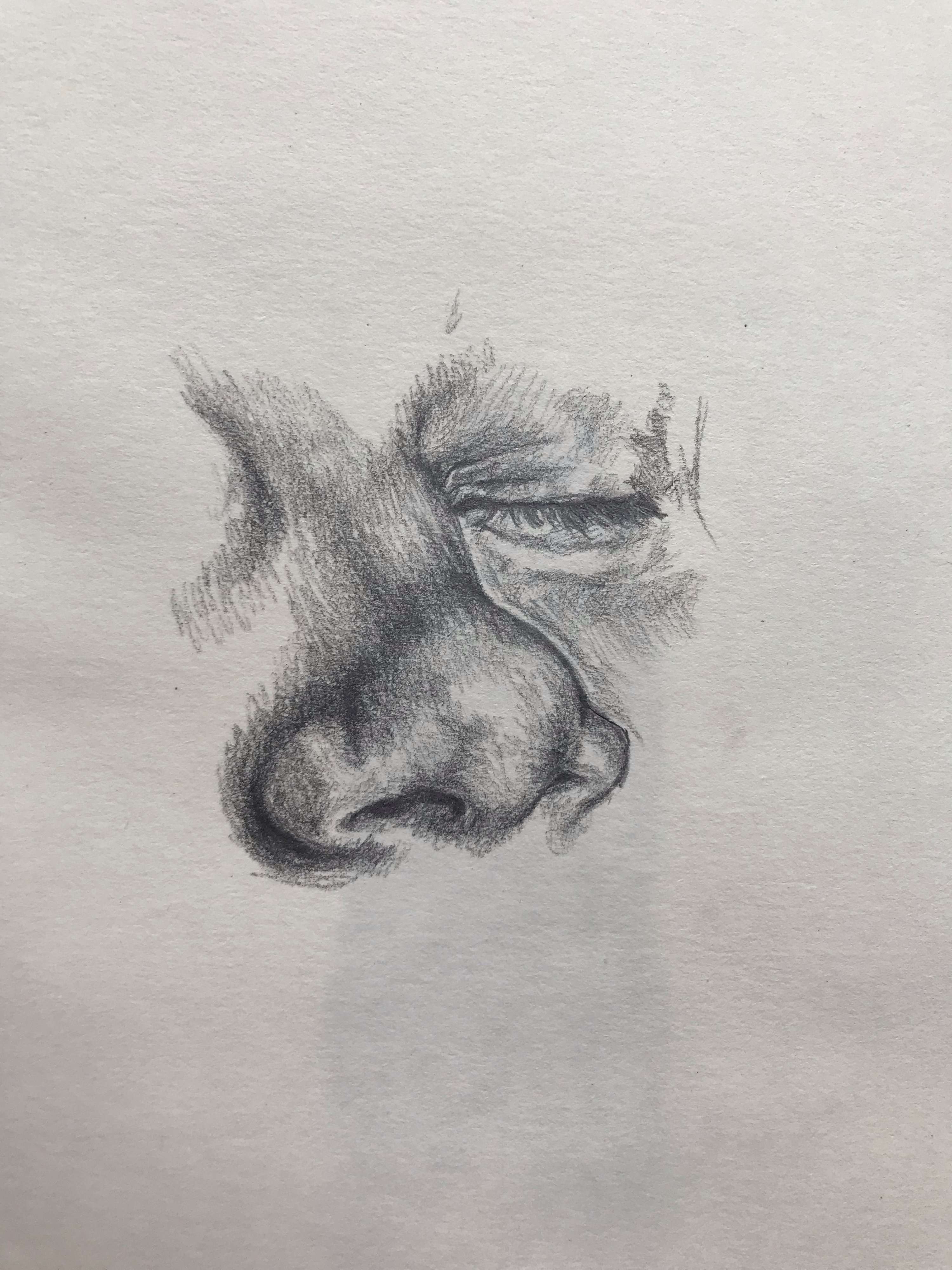Hobby - Painting and Sketching by Ruksana Shaukat Jali