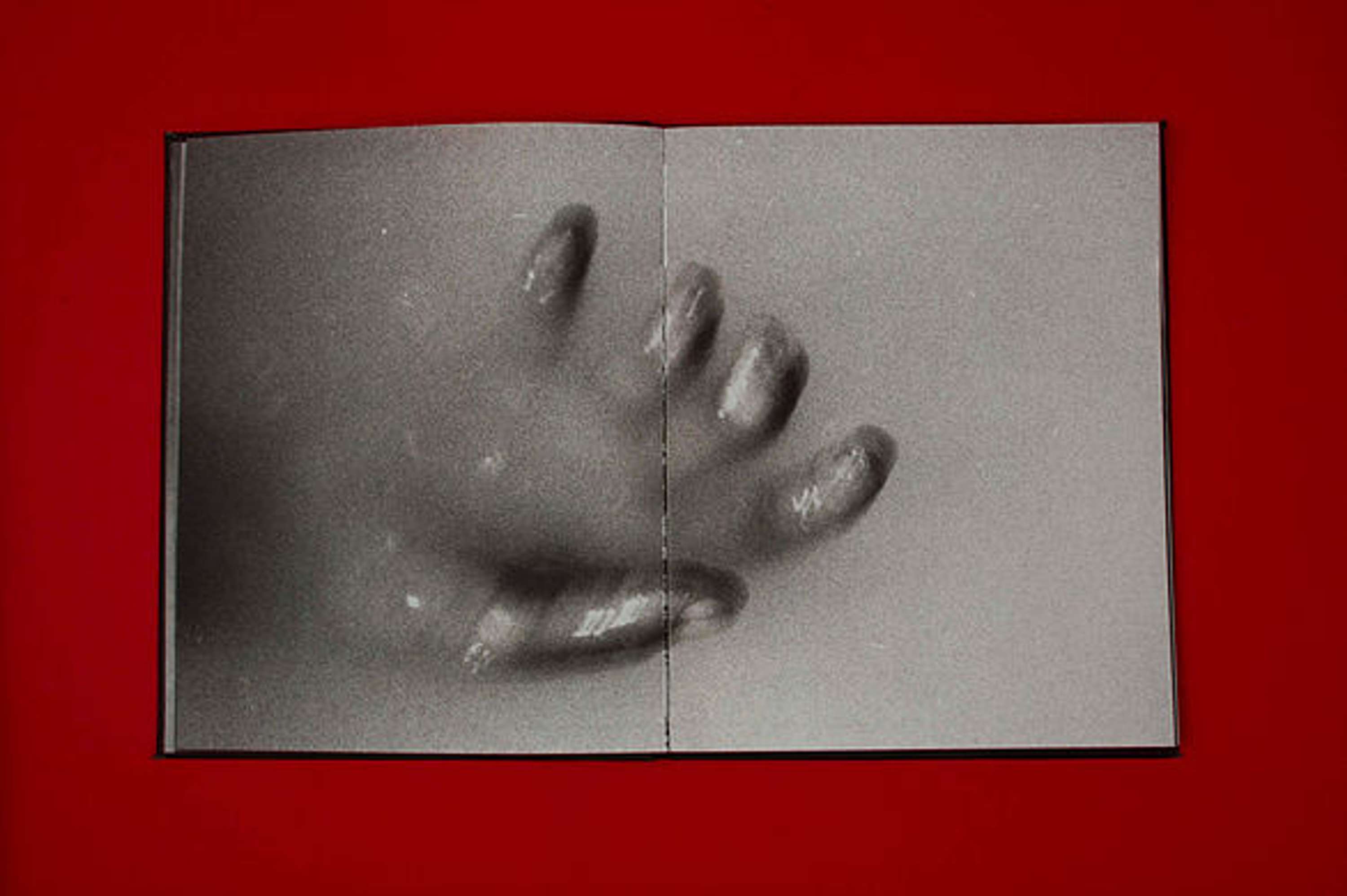 U M B R A by Beatriz Temudo