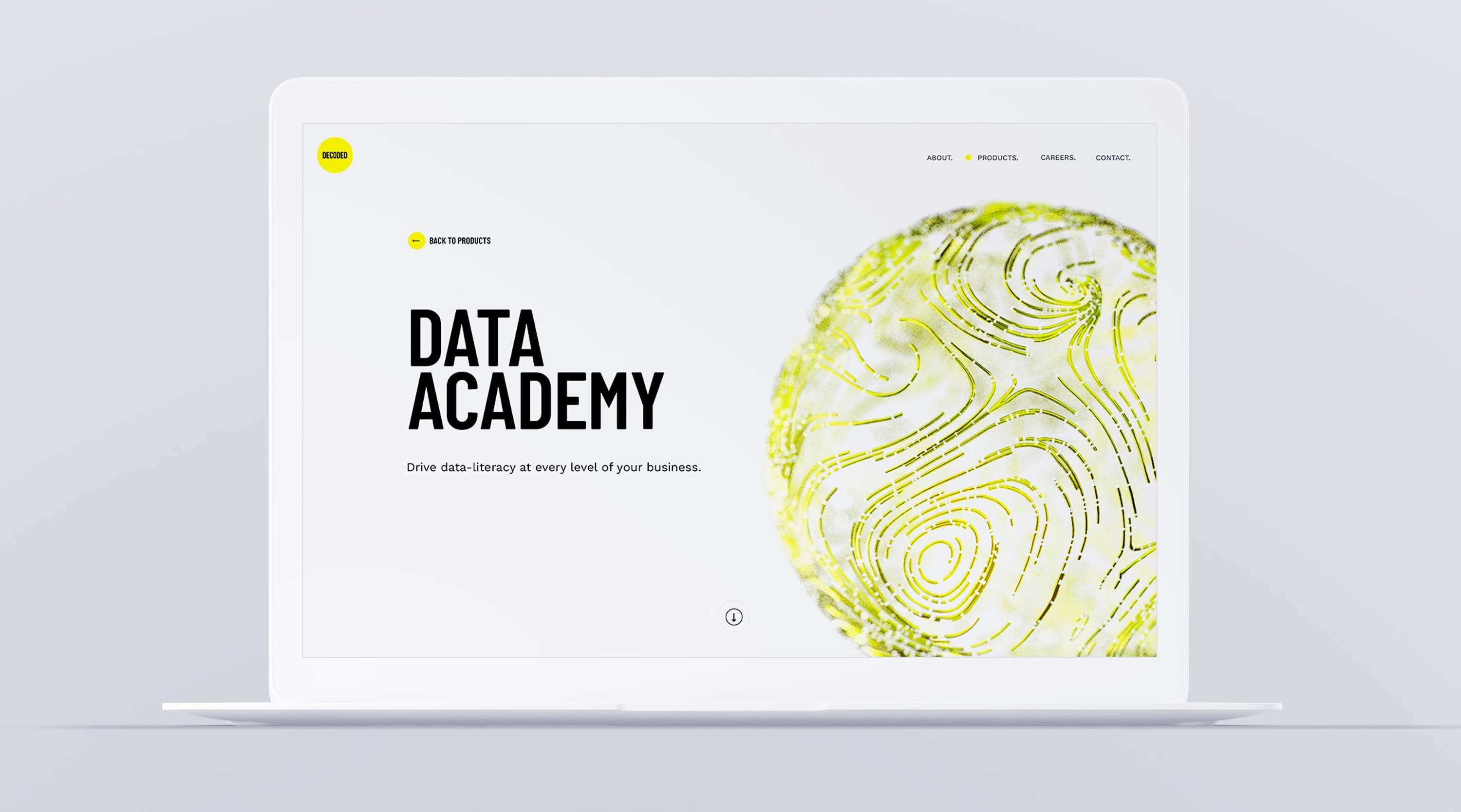 DECODED | Rebrand by Hannah E. Davies