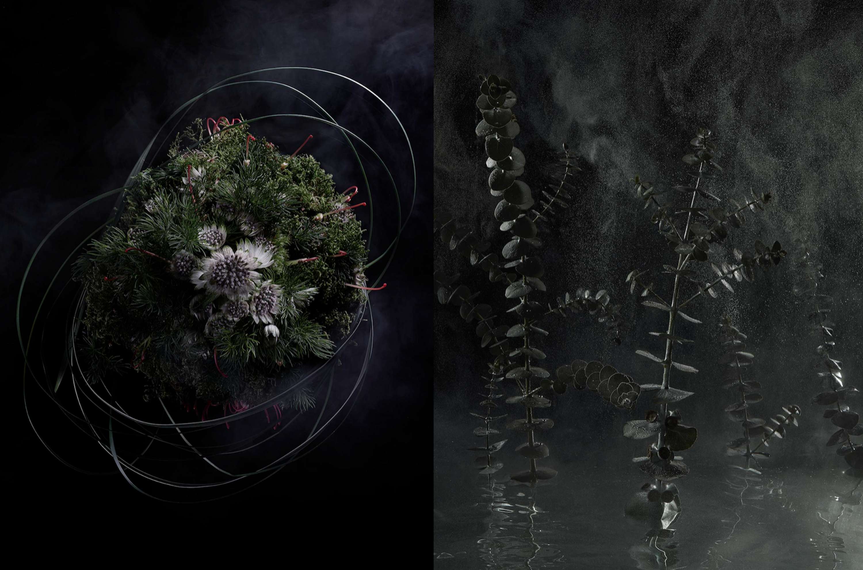 'Interference' x Ben Reeves by Emma Winter