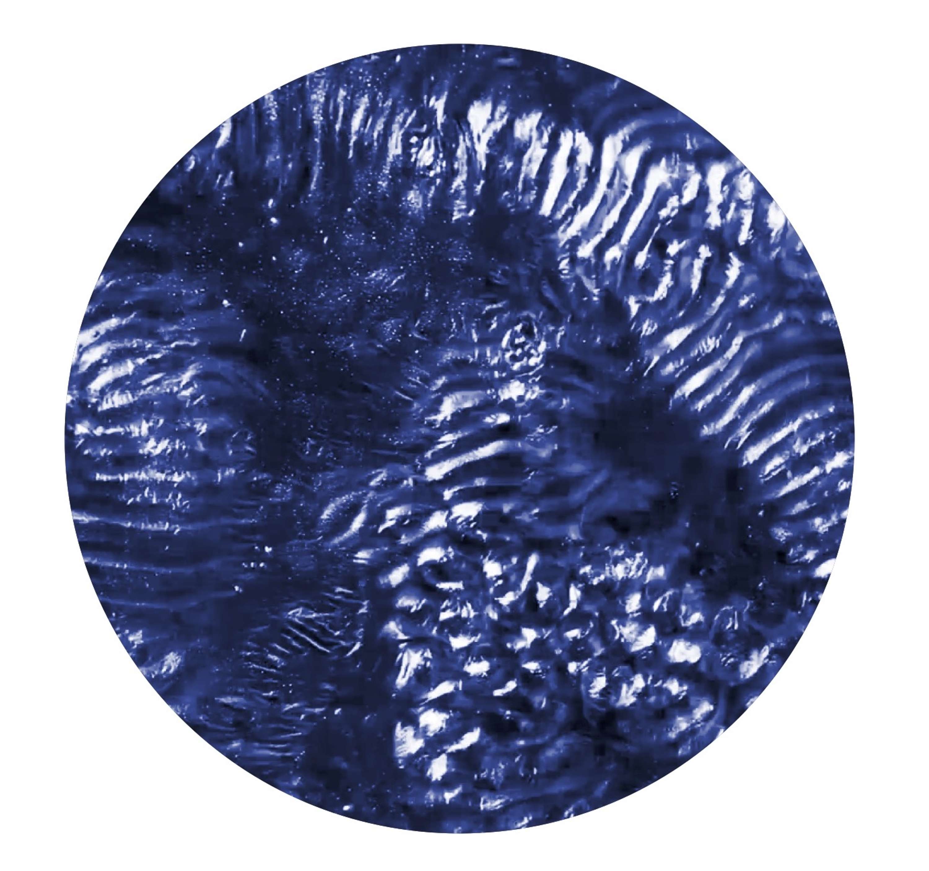 Harmonics of Mind - Exploring Psychedelia by Joe Barnby