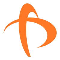 Paranet Solutions logo