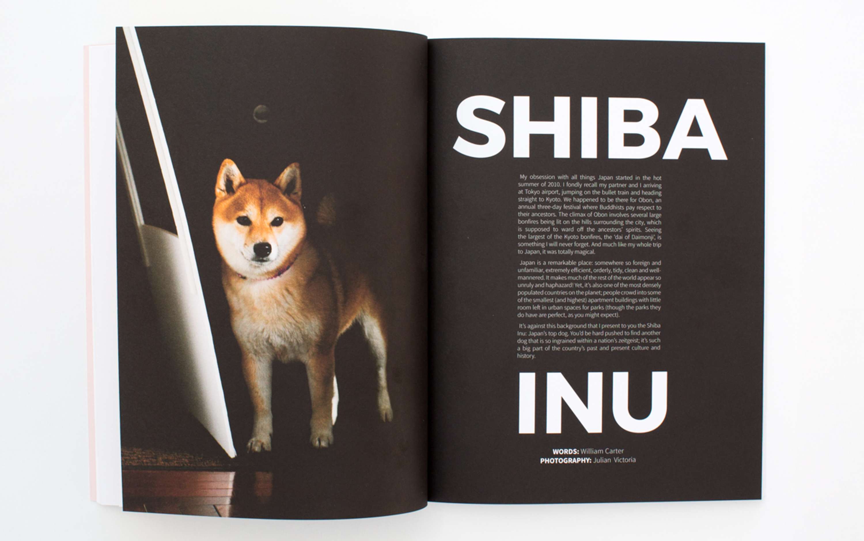 DOG MAG - ISSUE 2 by DOG MAGAZINE