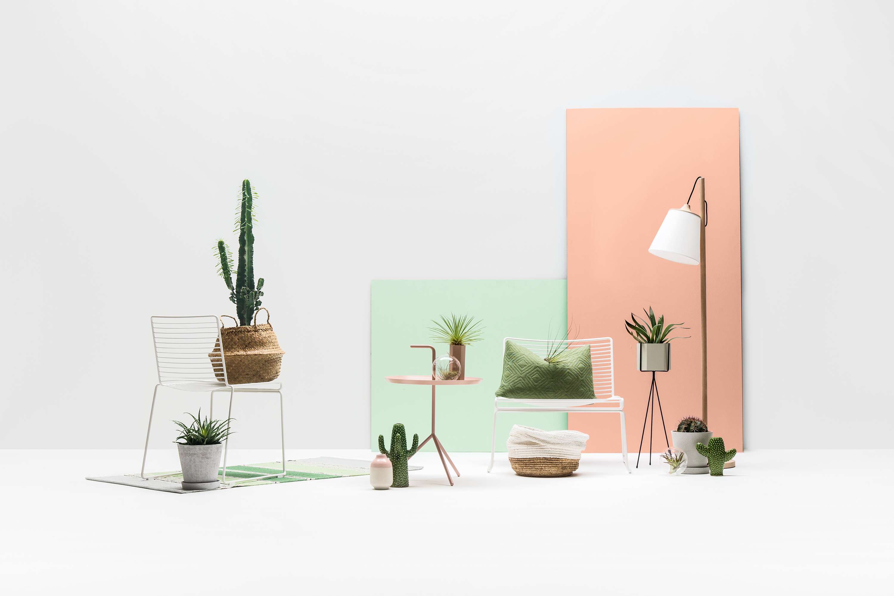 Amazon Home - Spring/Summer by Olly Moss