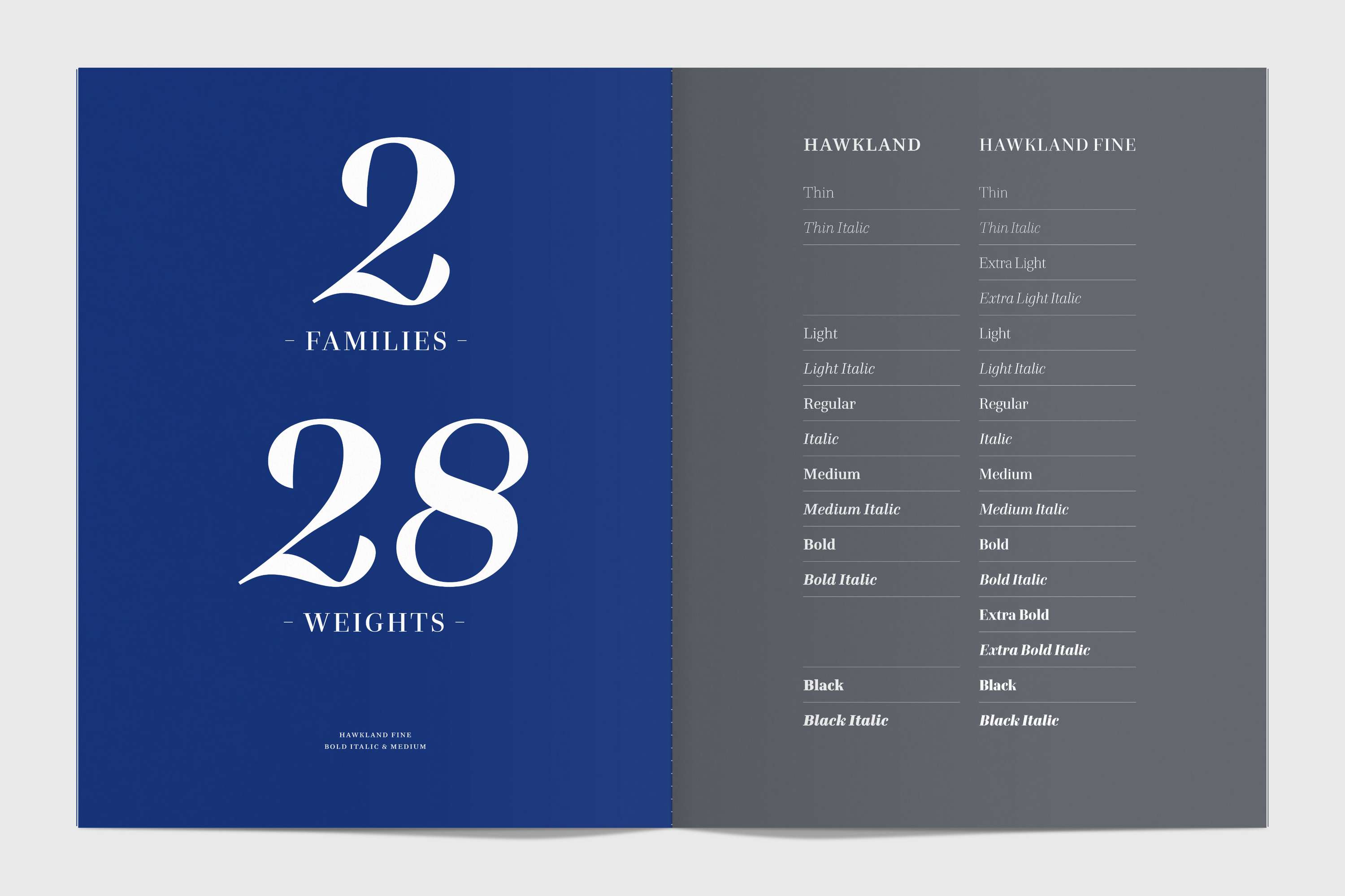 Hawkland type specimen by Alistair Hall