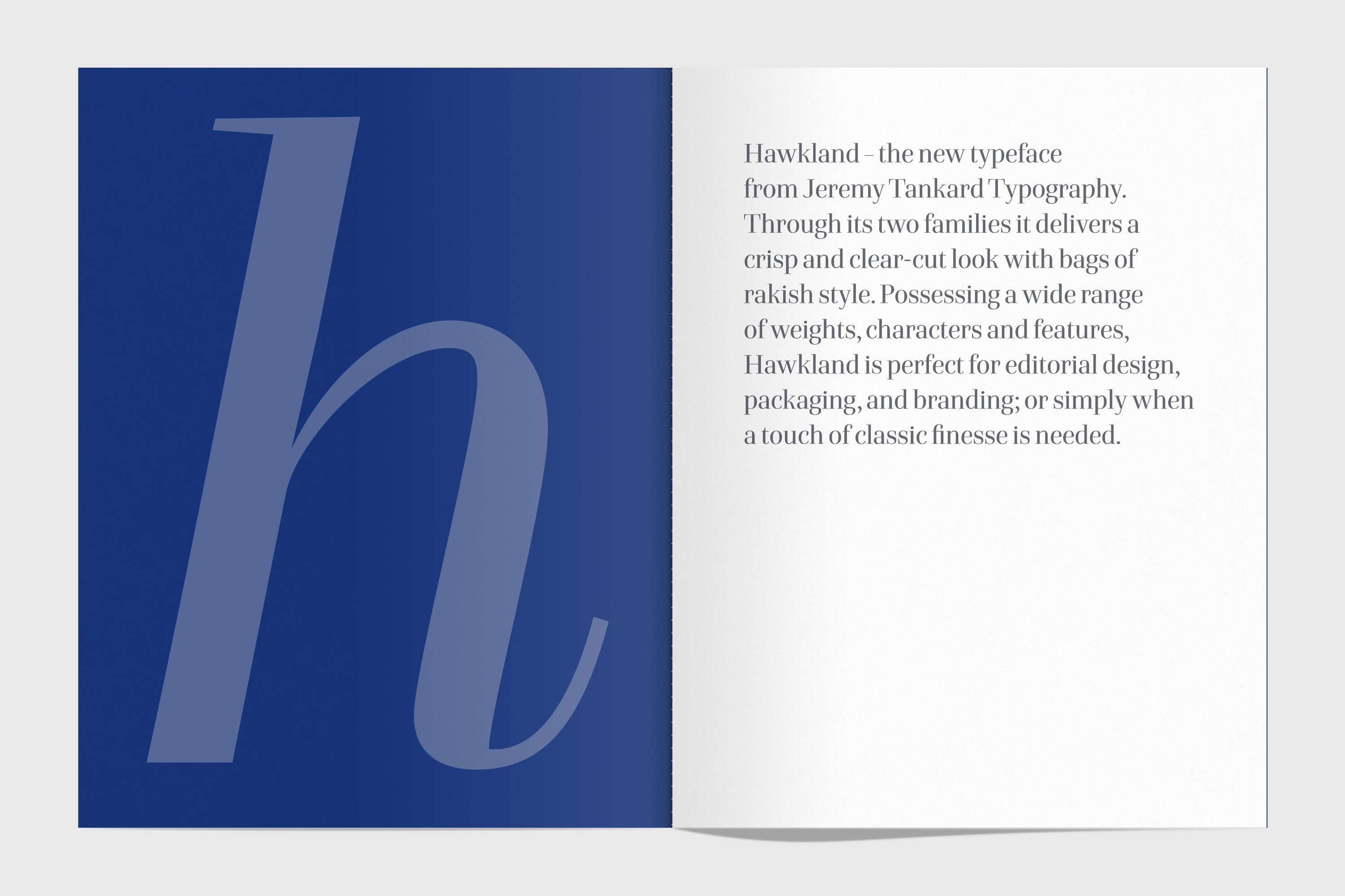 Hawkland type specimen by Alistair Hall