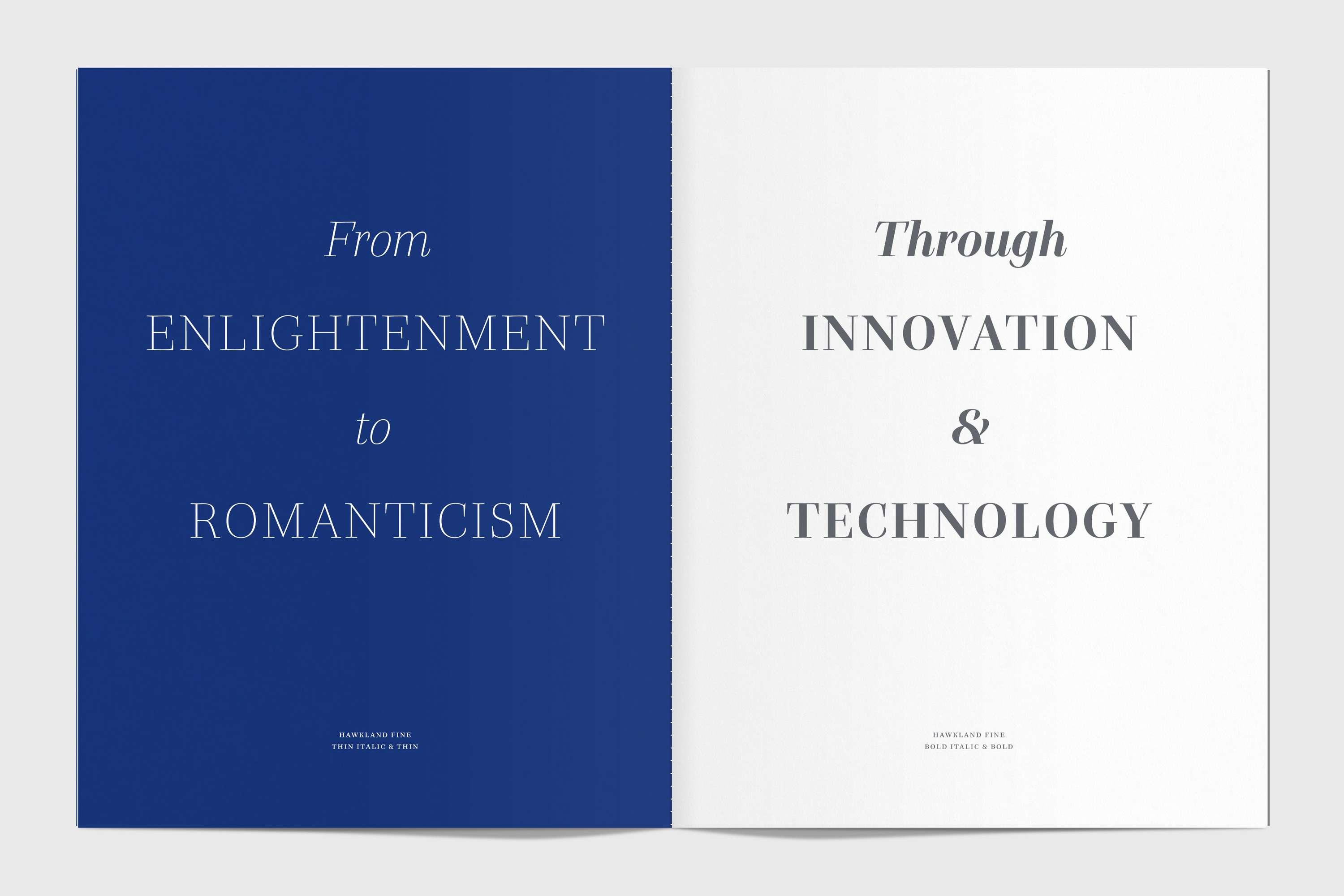 Hawkland type specimen by Alistair Hall