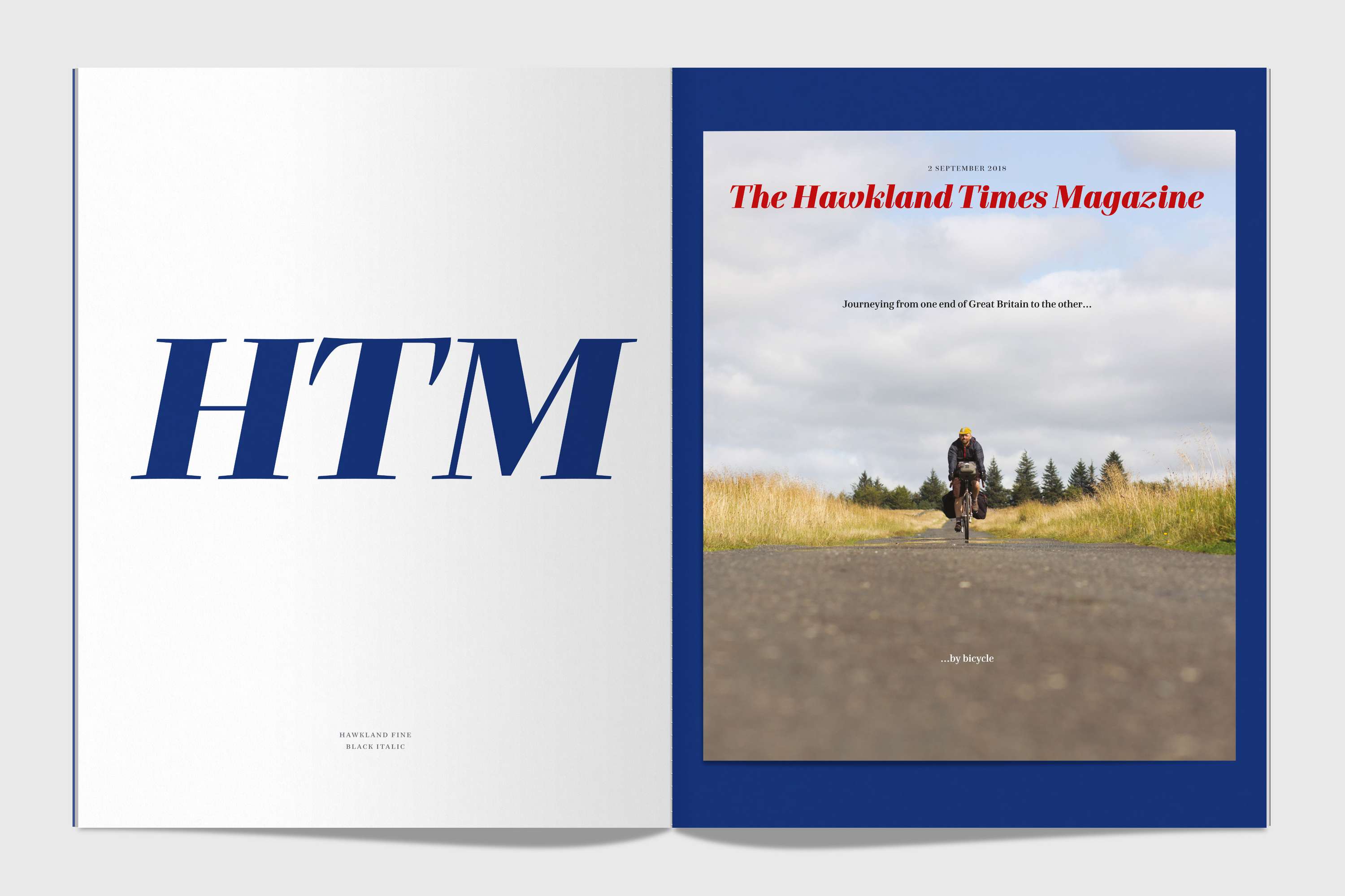 Hawkland type specimen by Alistair Hall