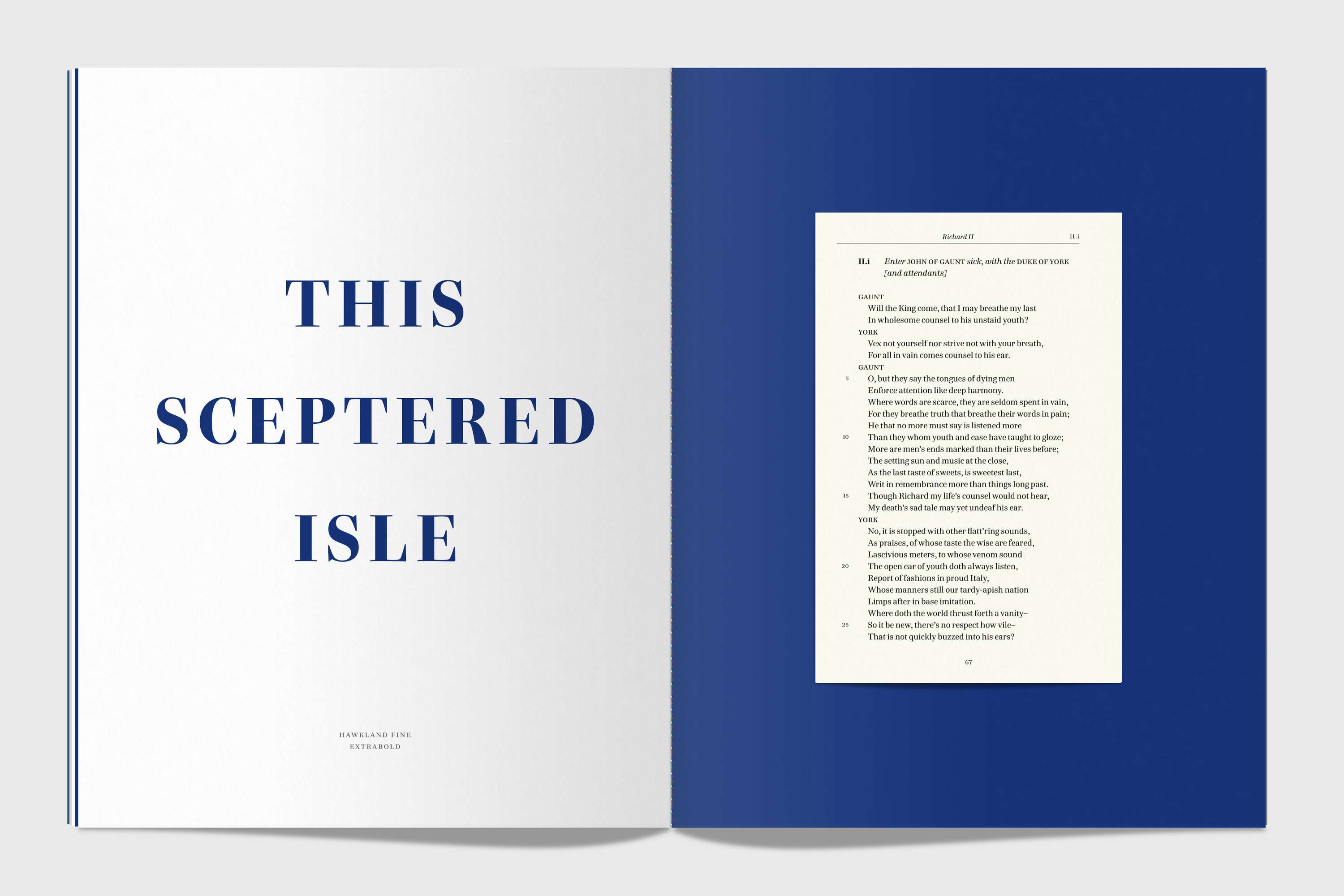 Hawkland type specimen by Alistair Hall