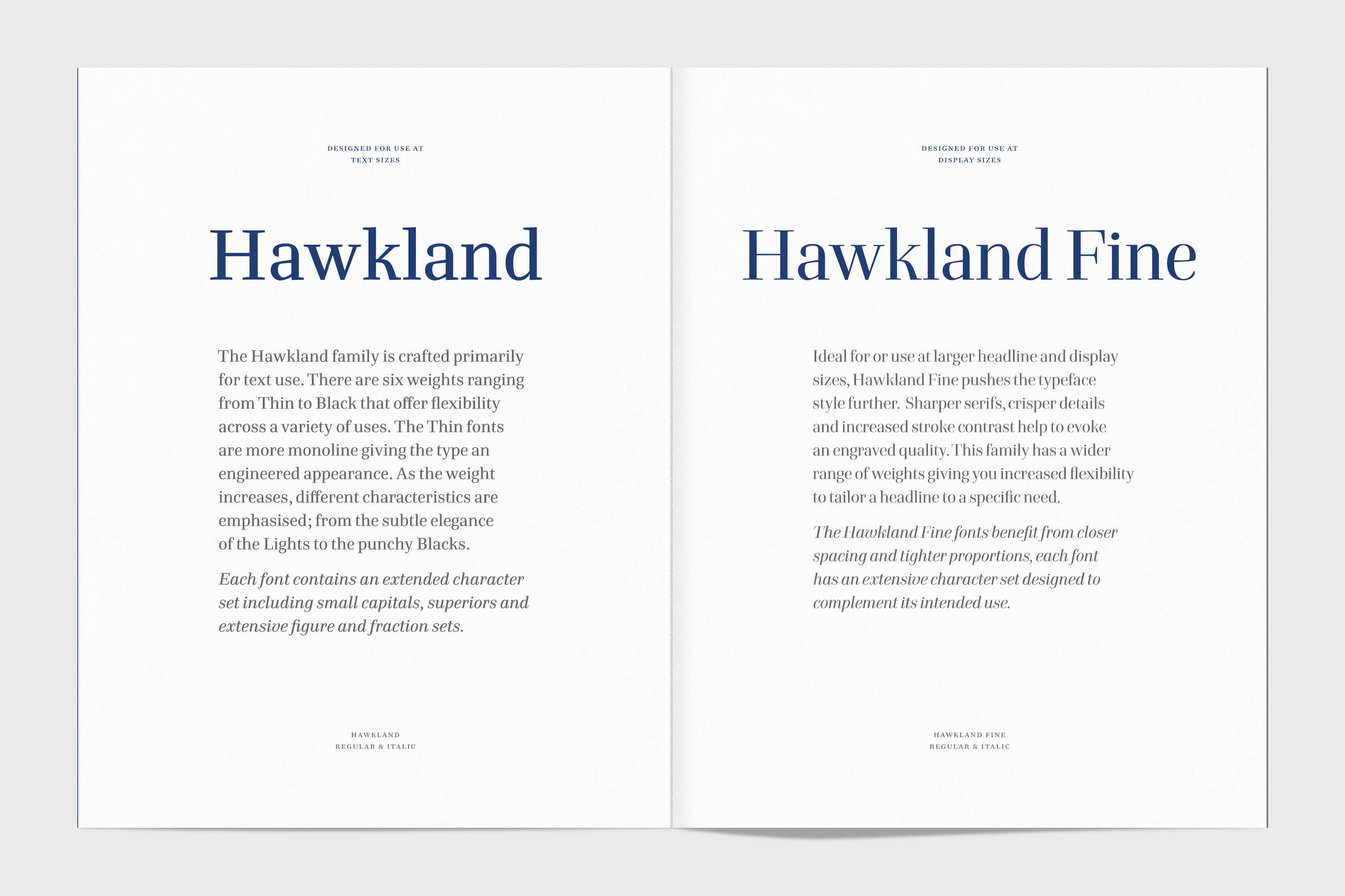 Hawkland type specimen by Alistair Hall
