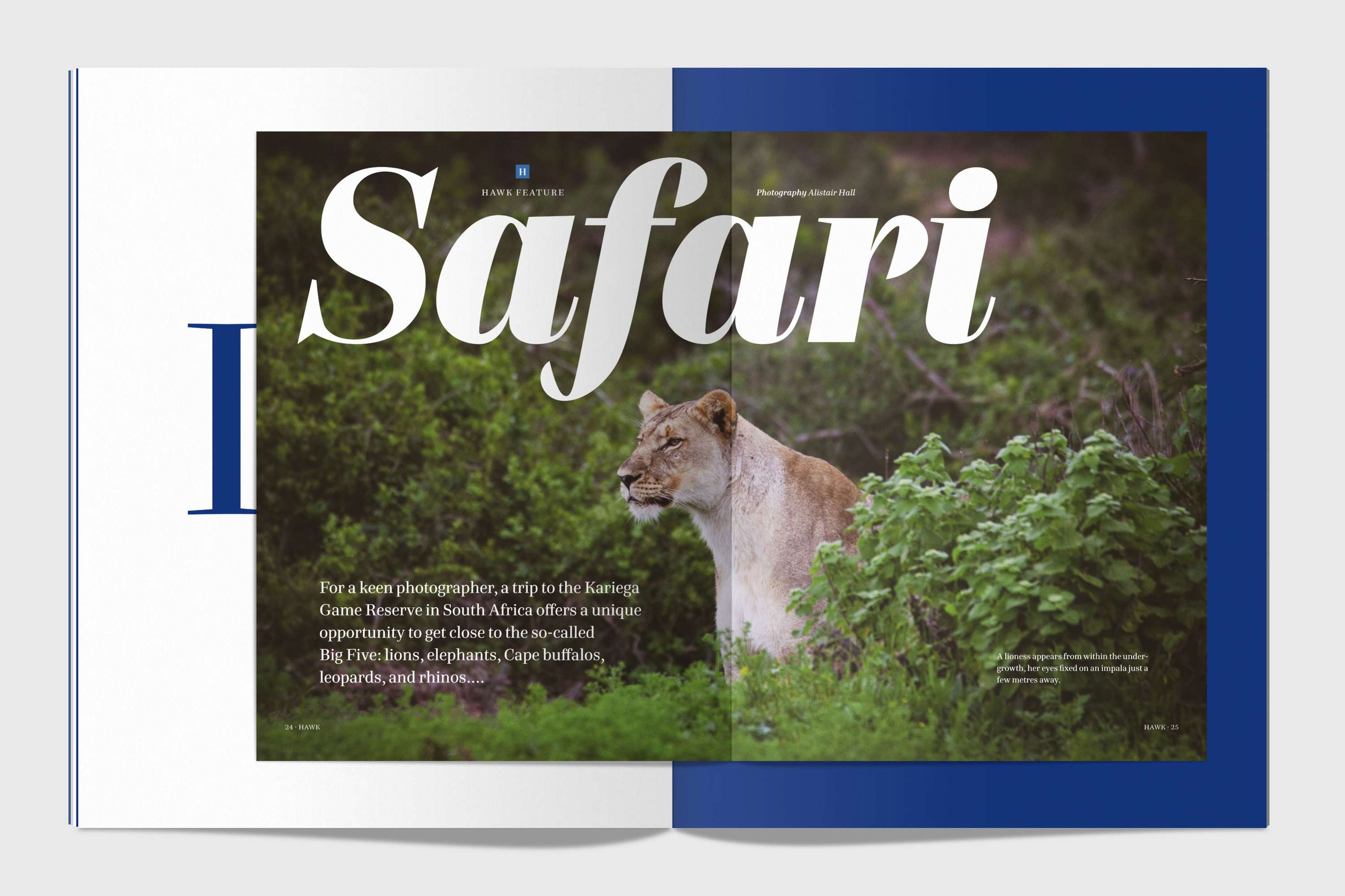 Hawkland type specimen by Alistair Hall