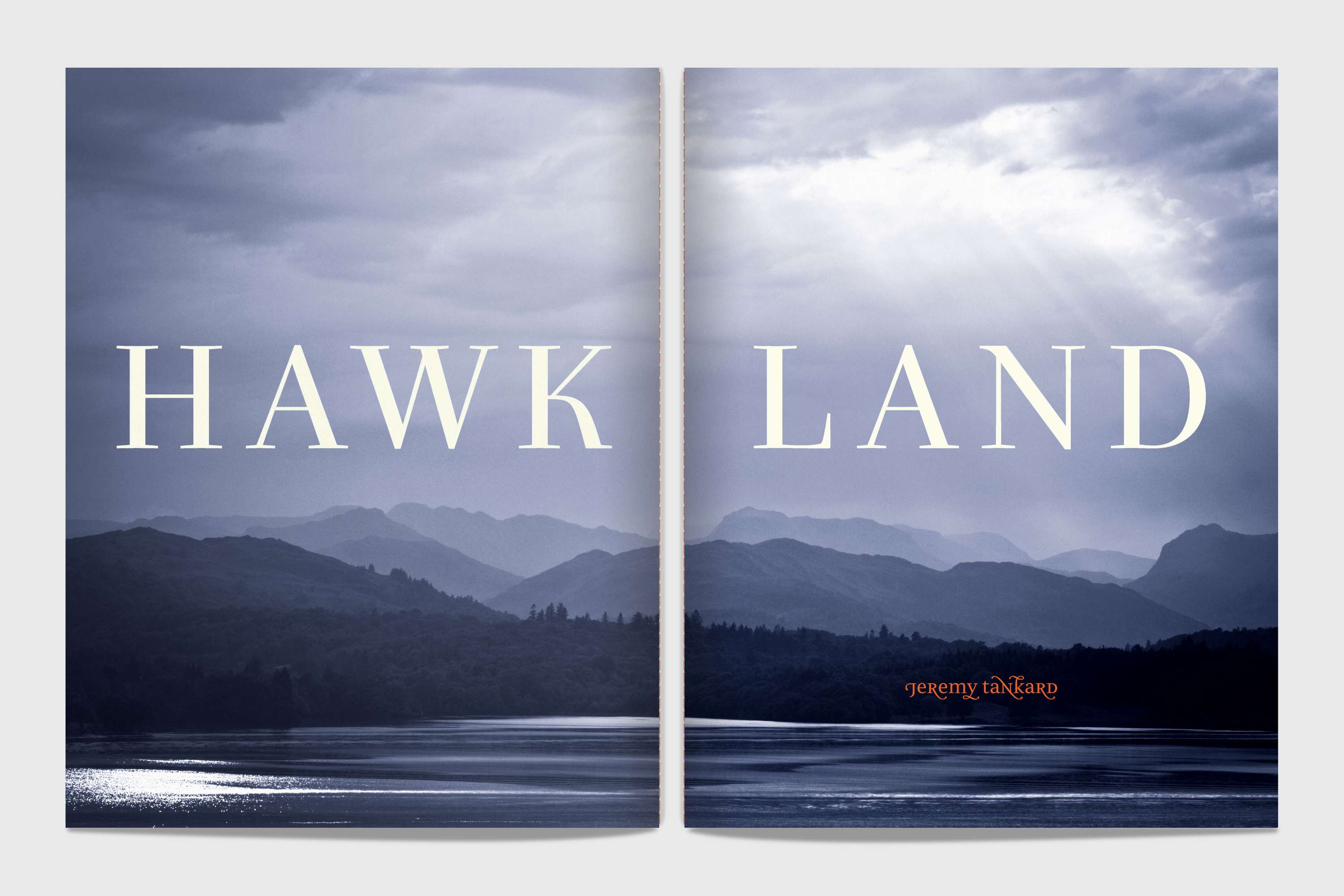 Hawkland type specimen by Alistair Hall