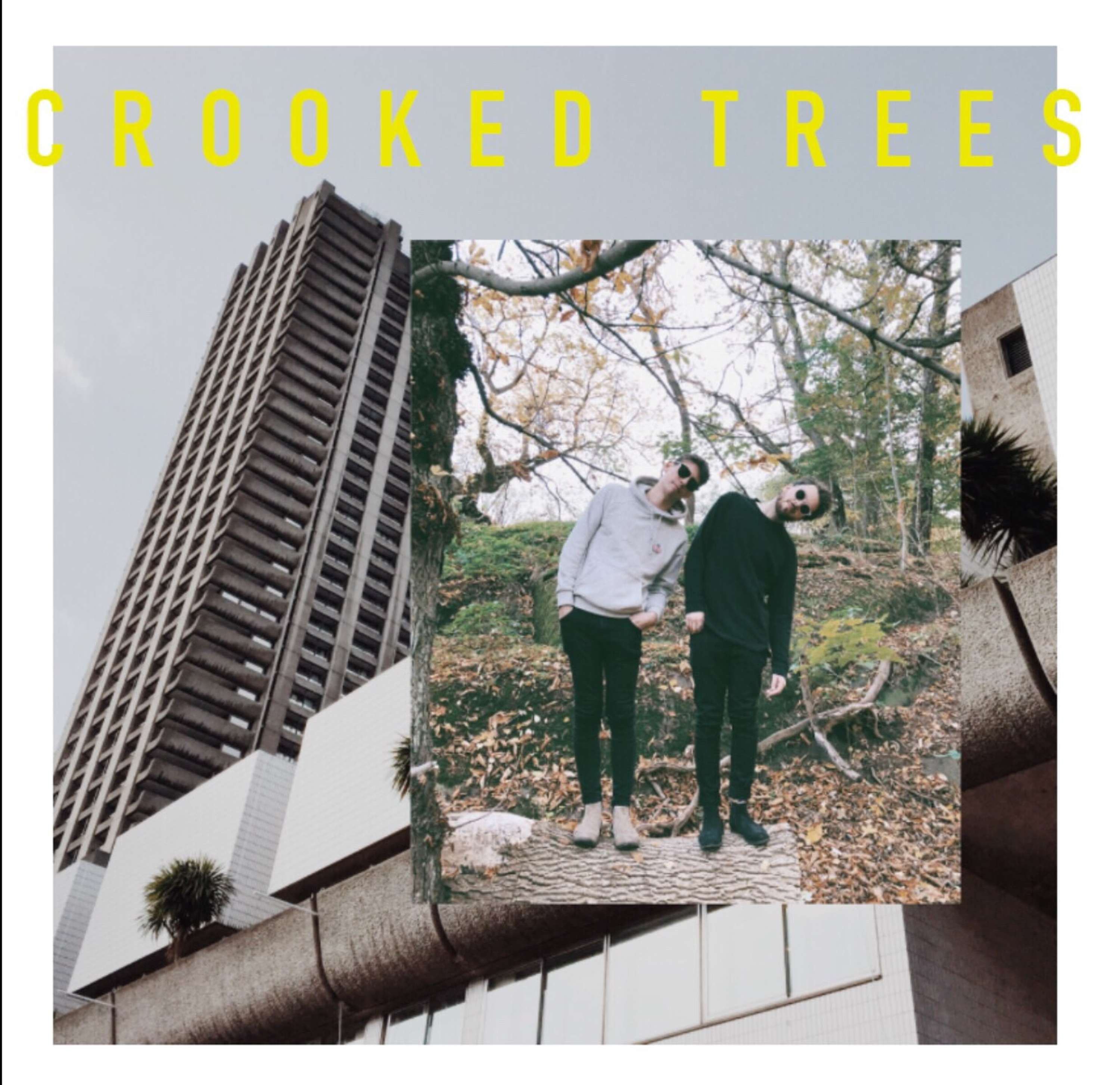 Crooked Trees by Sophie Körner