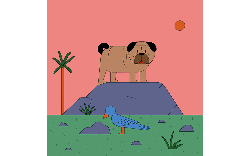 Why your dog can and should go vegan by Do The Green Thing