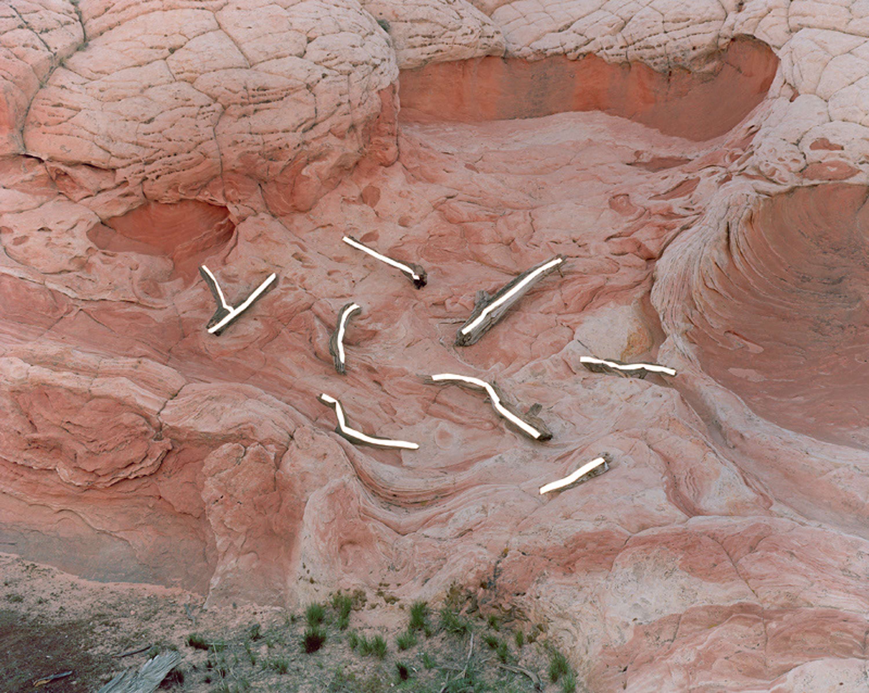 A conversation with Synchrodogs by Alexander Voulgaris