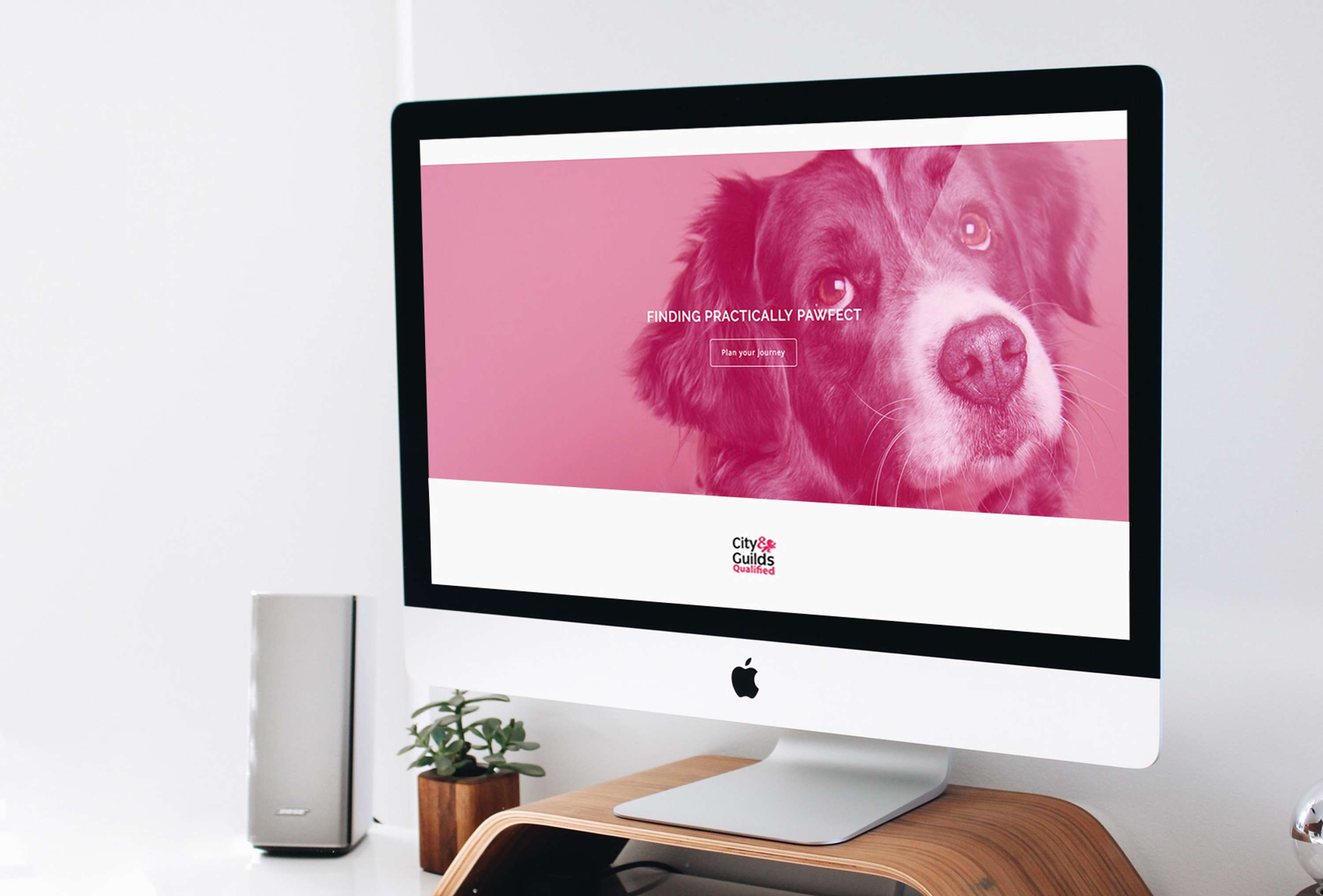 Practically Pawfect by Sophia Sargeant