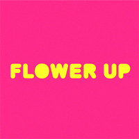Flower Up logo