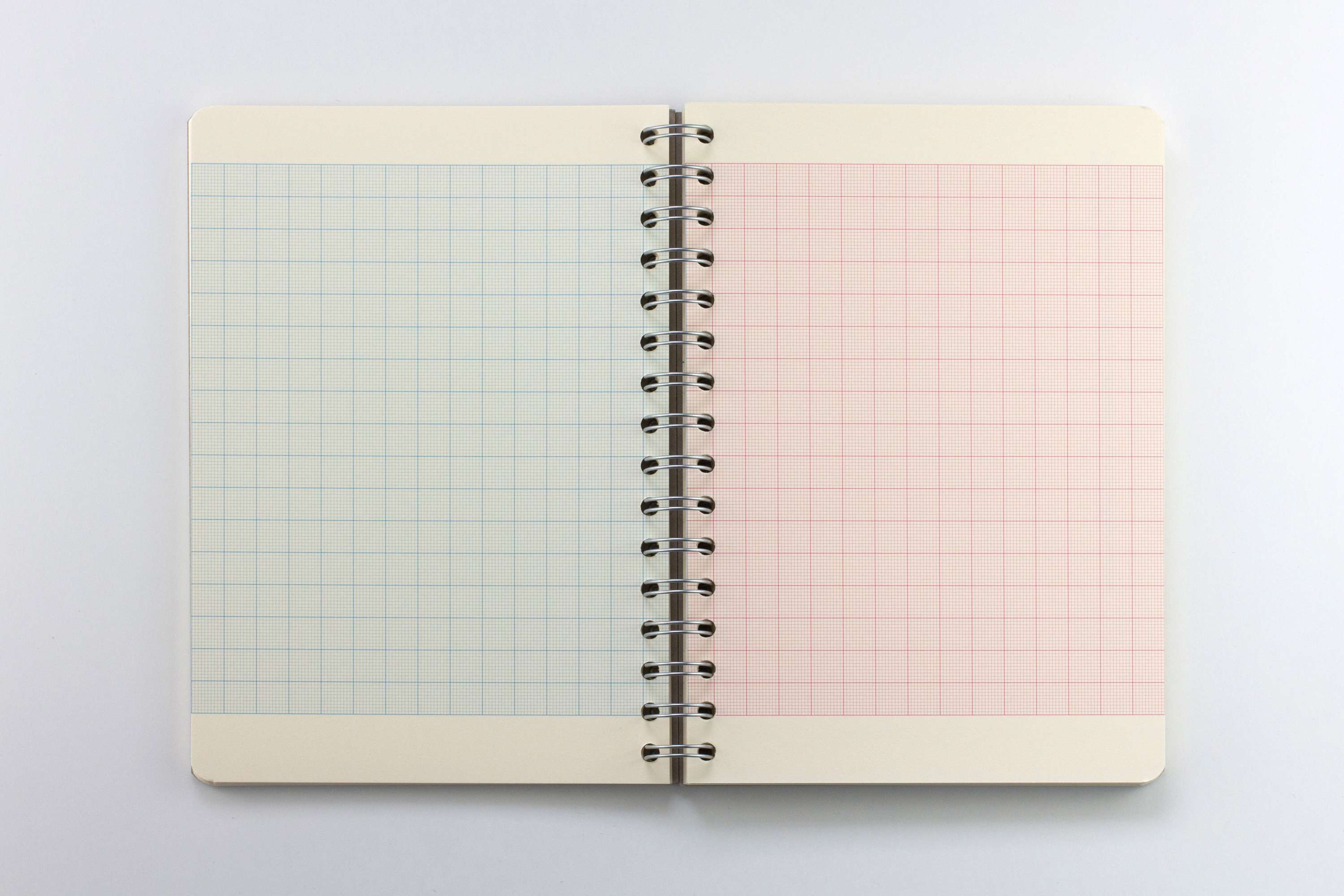 Penguin Random House Learning Journal by Alistair Hall