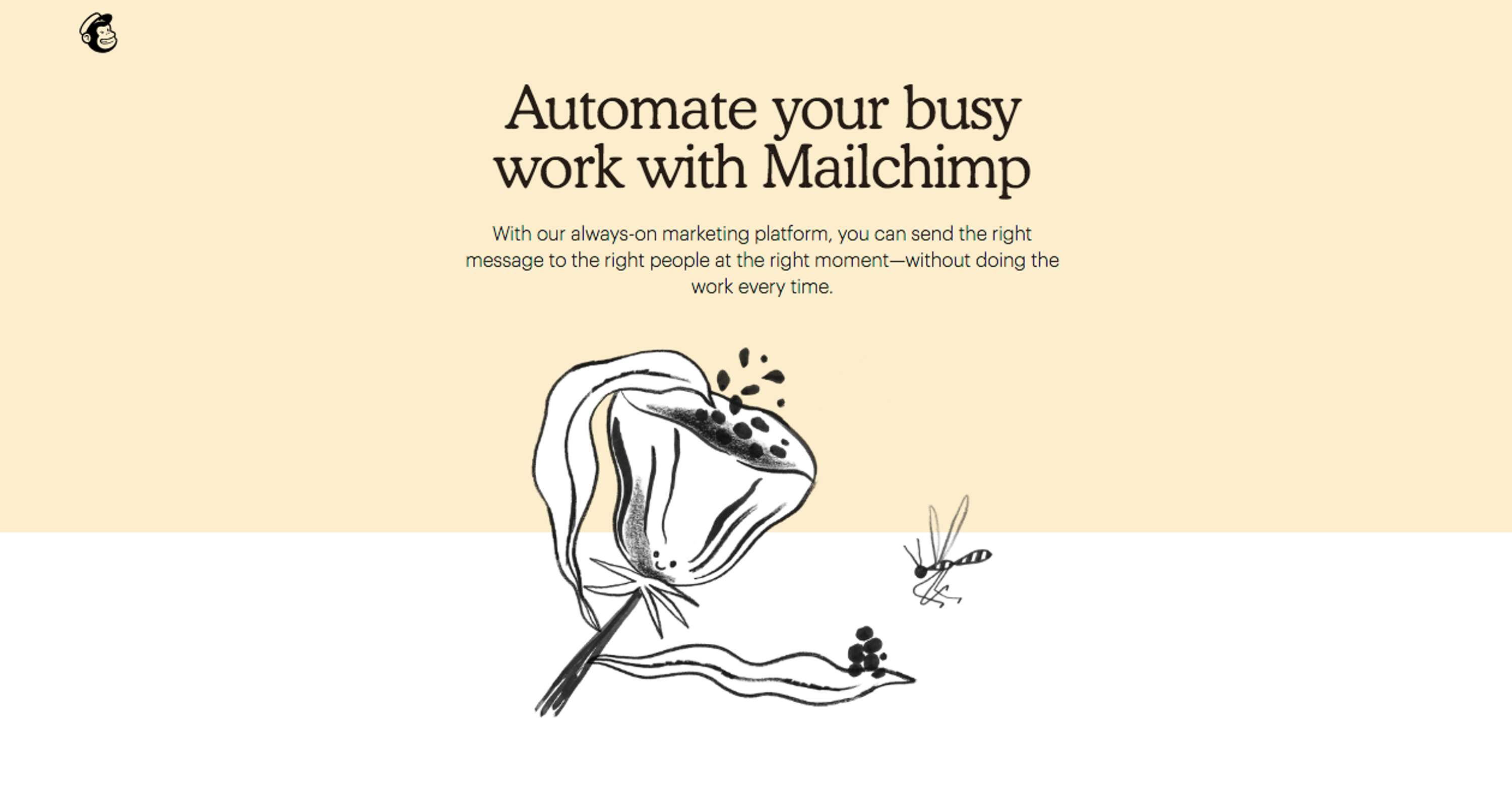 Mailchimp by Franz Lang