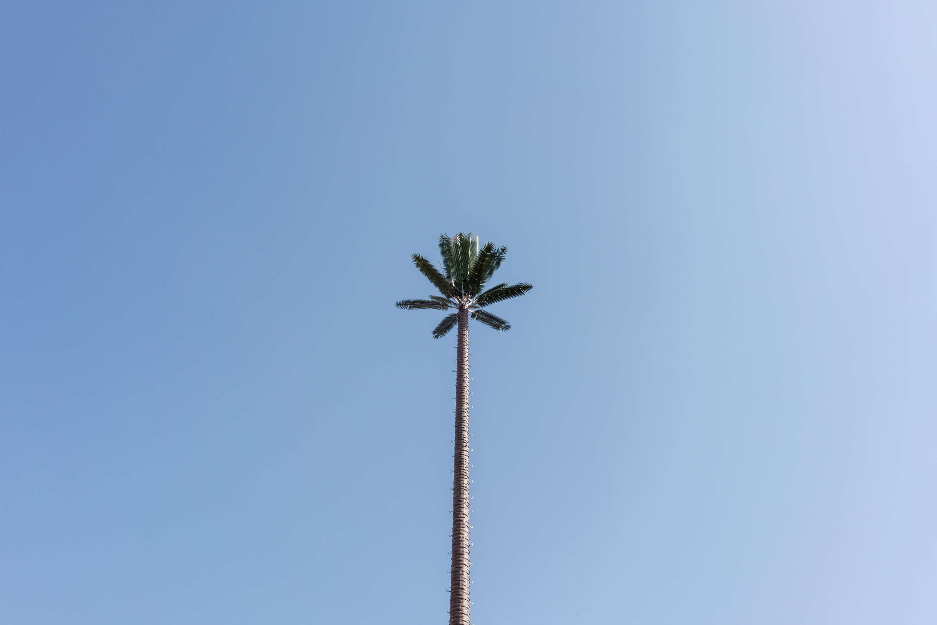 EY, Better Working World - How EY helped create a shining example of green energy in Morocco by Christopher Talbot