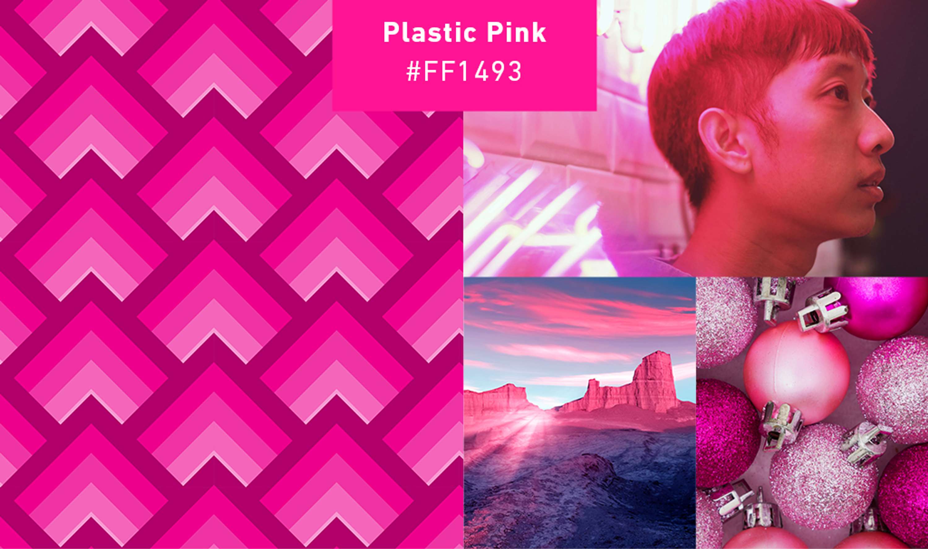 Plastic Pink Color Palette