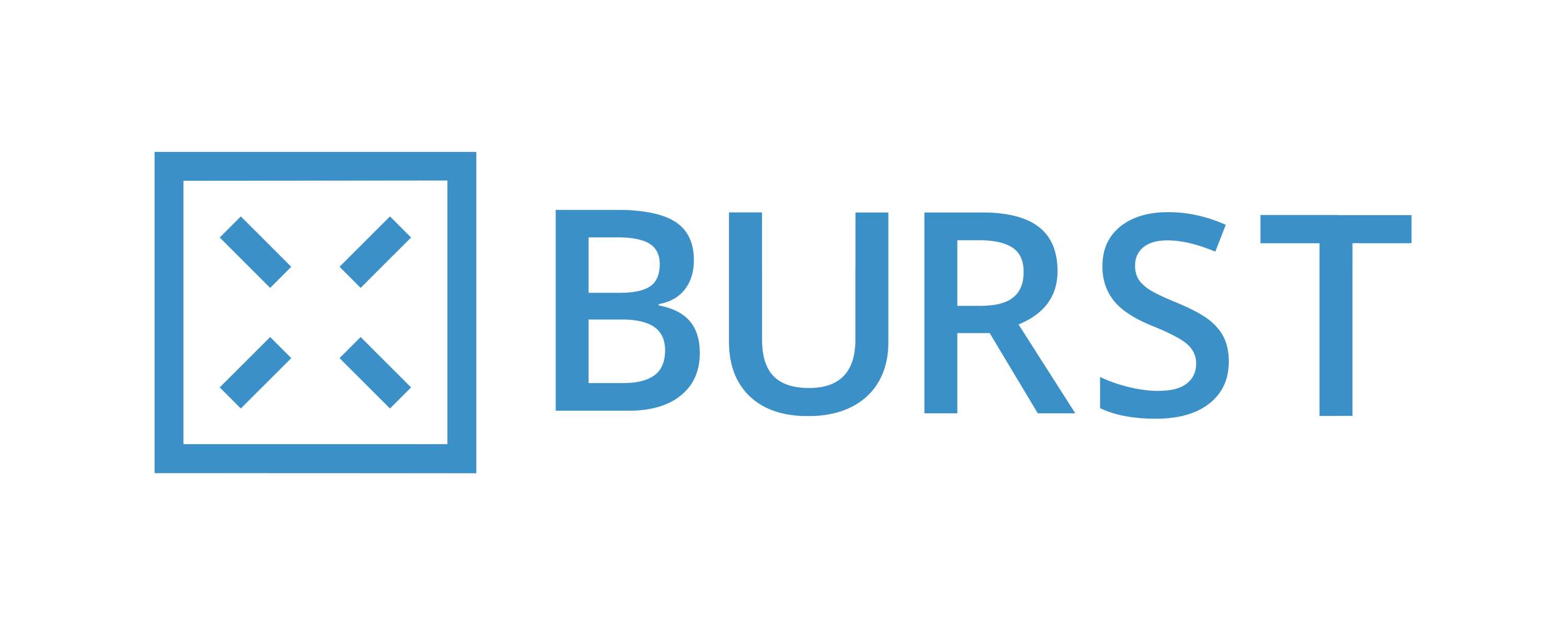 Burst Productions & Insights by Michael Litman