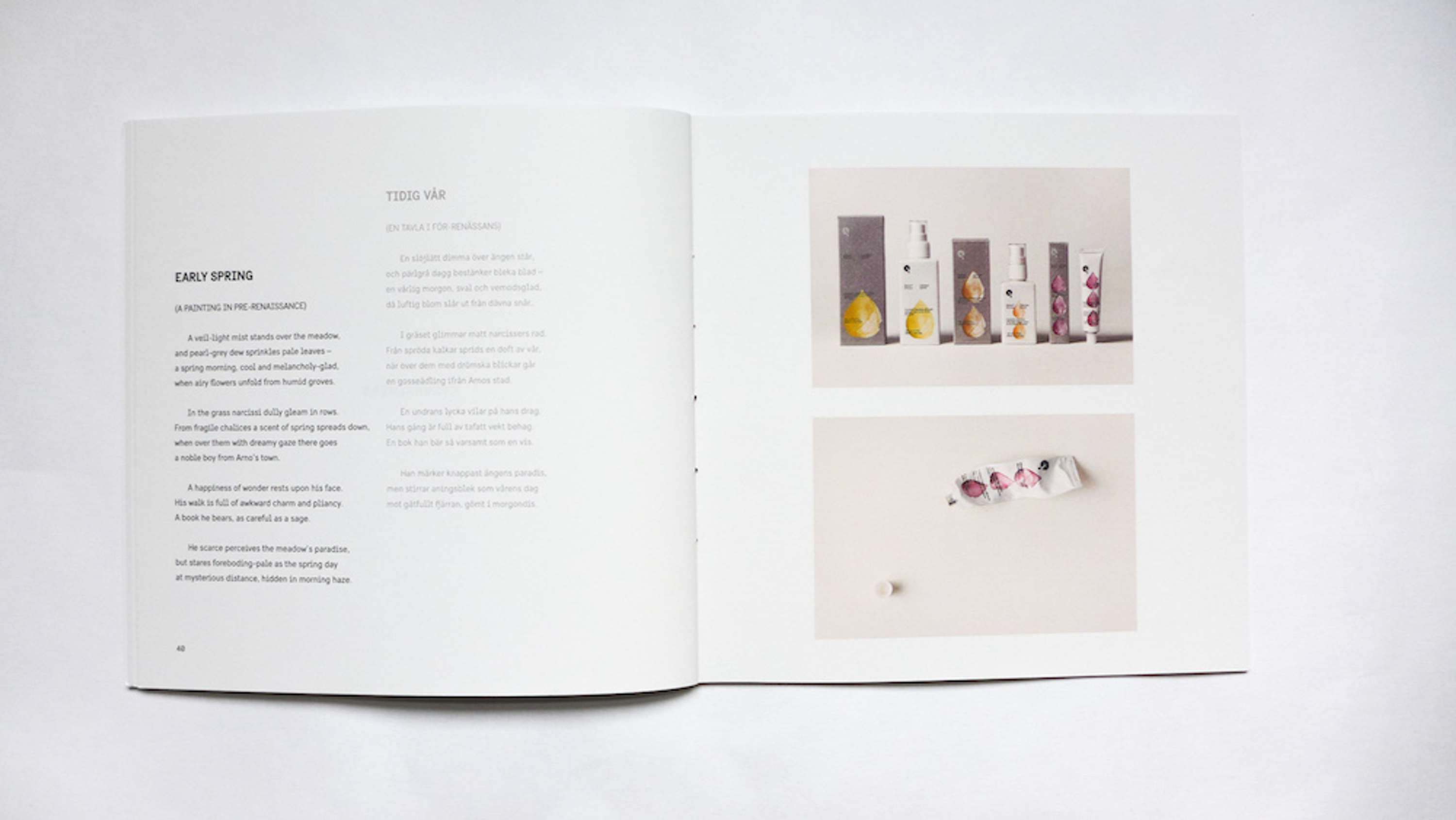 Book: Between the Birch Trees by Klara Foldys