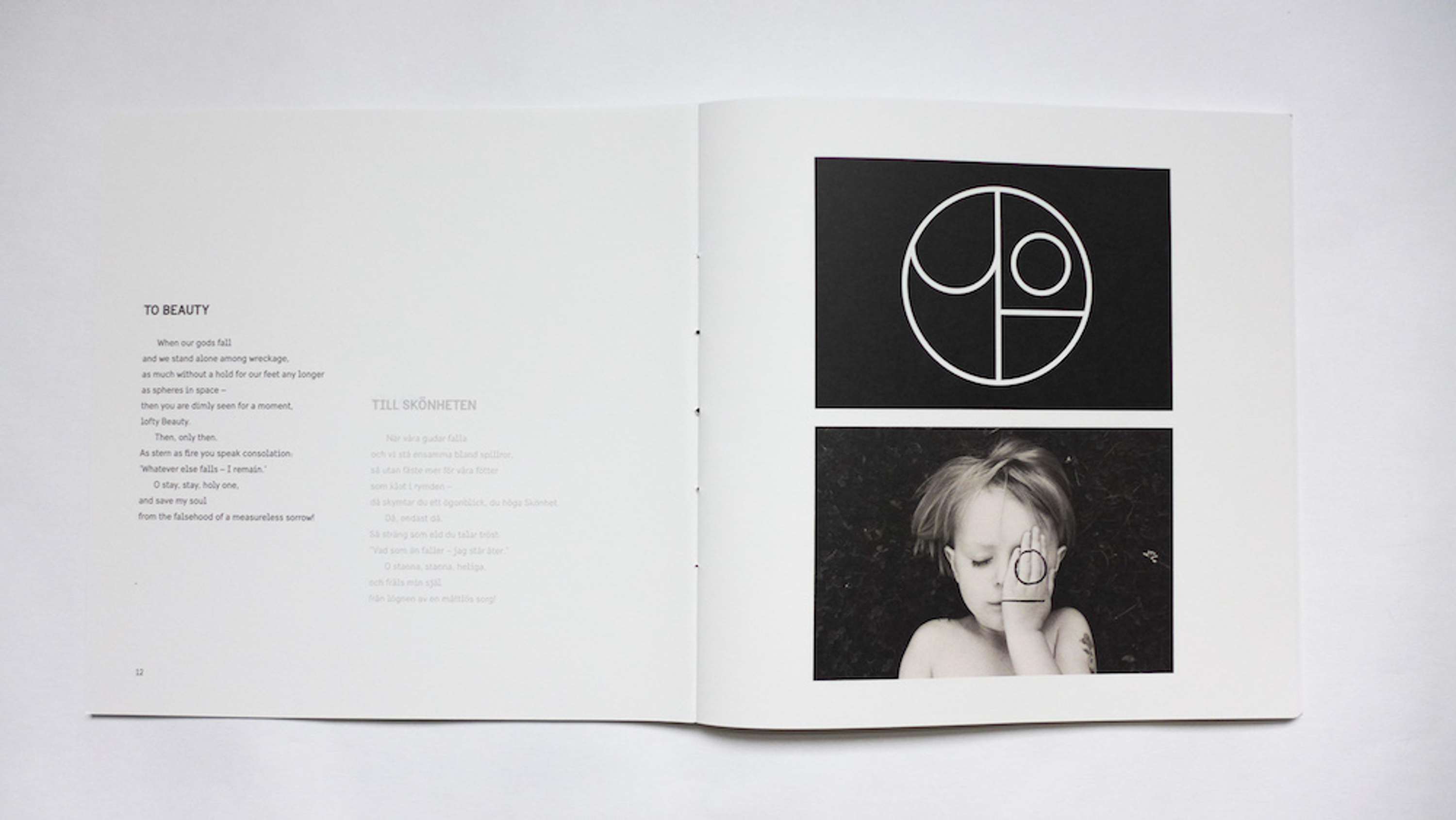 Book: Between the Birch Trees by Klara Foldys