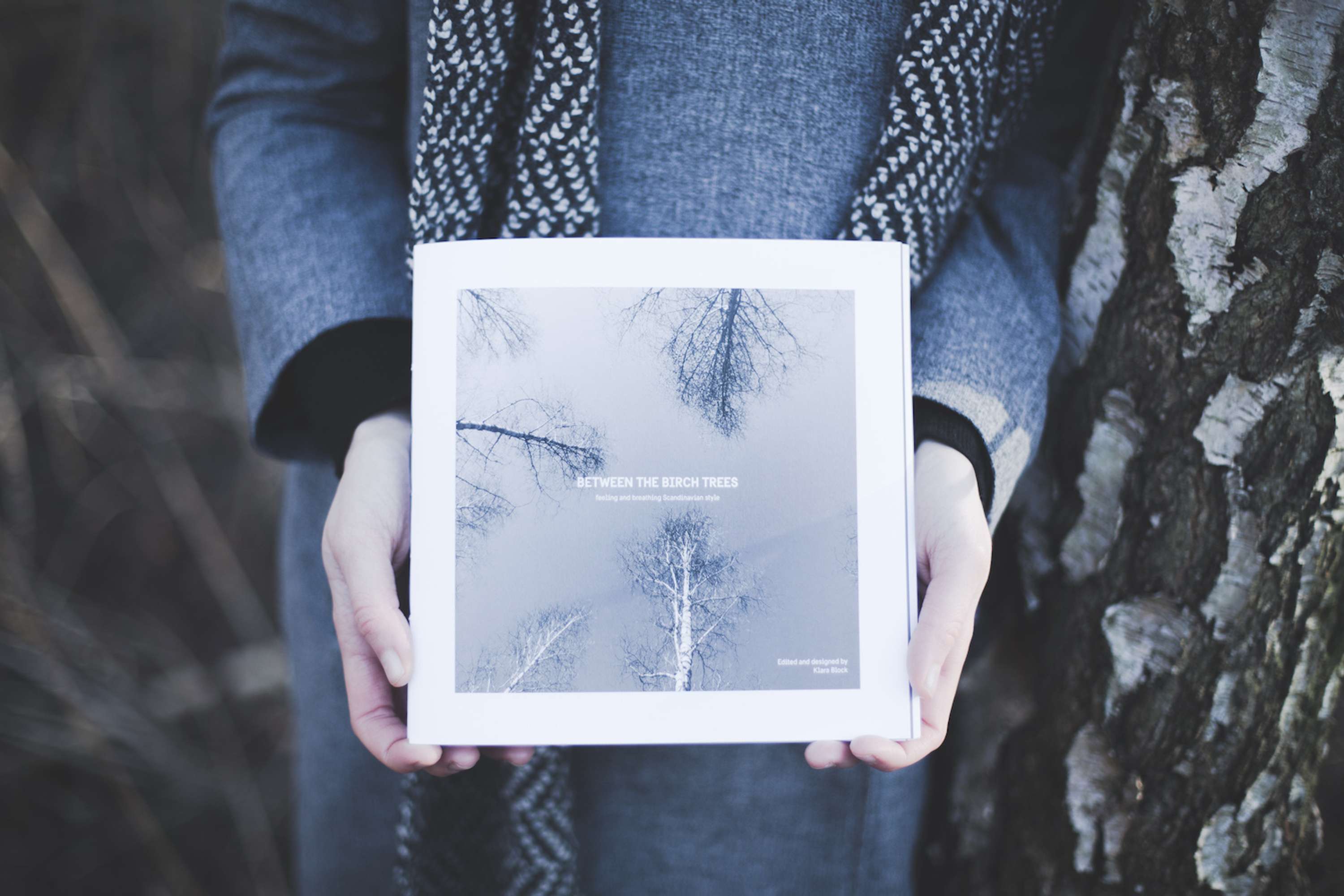 Book: Between the Birch Trees by Klara Foldys