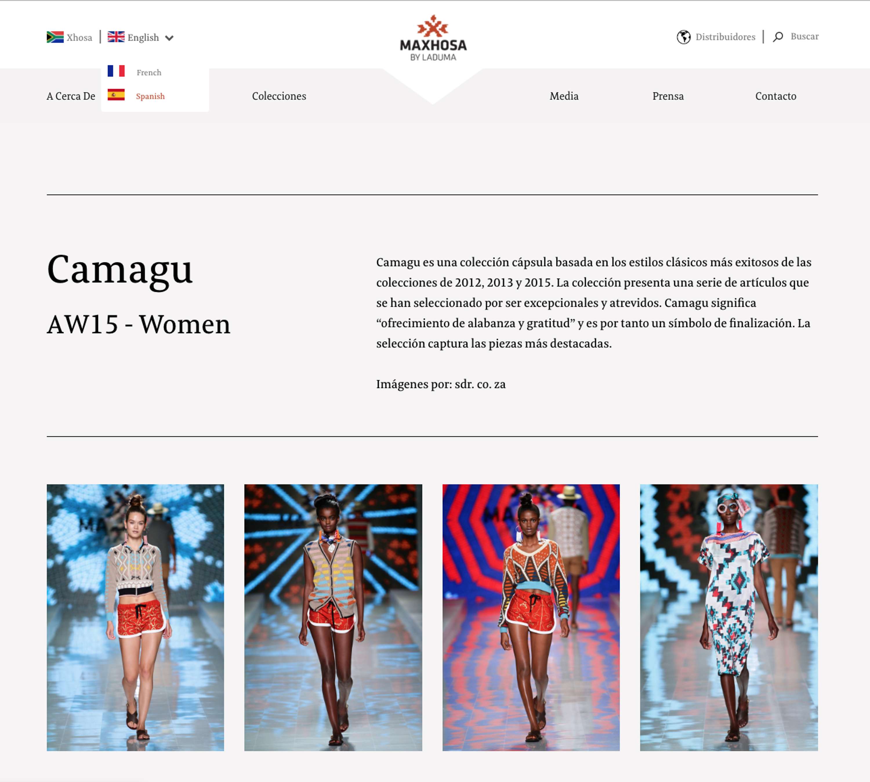 Translating Web Content for Maxhosa by Laduma by Iris María