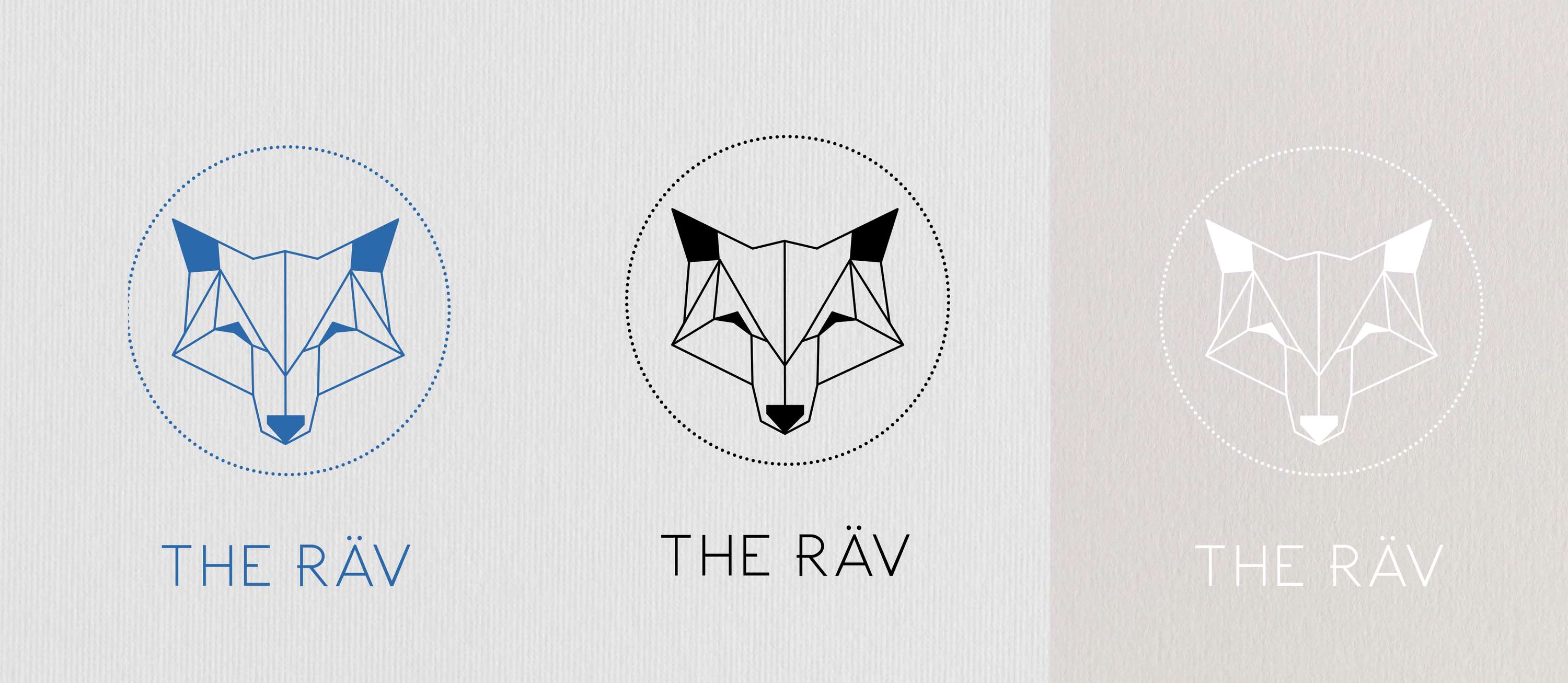 THE RAV by Fiona Hall