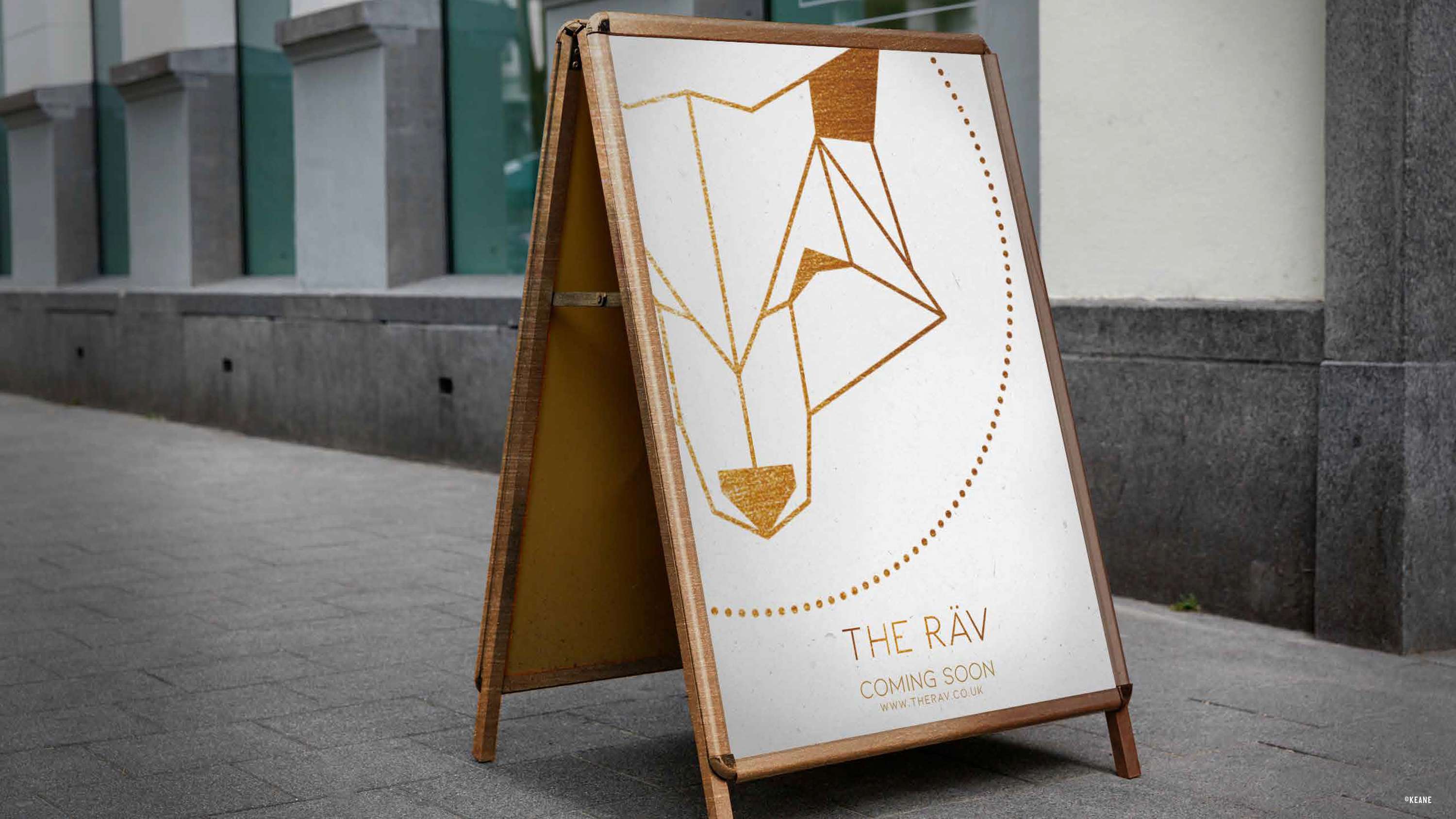 THE RAV by Fiona Hall