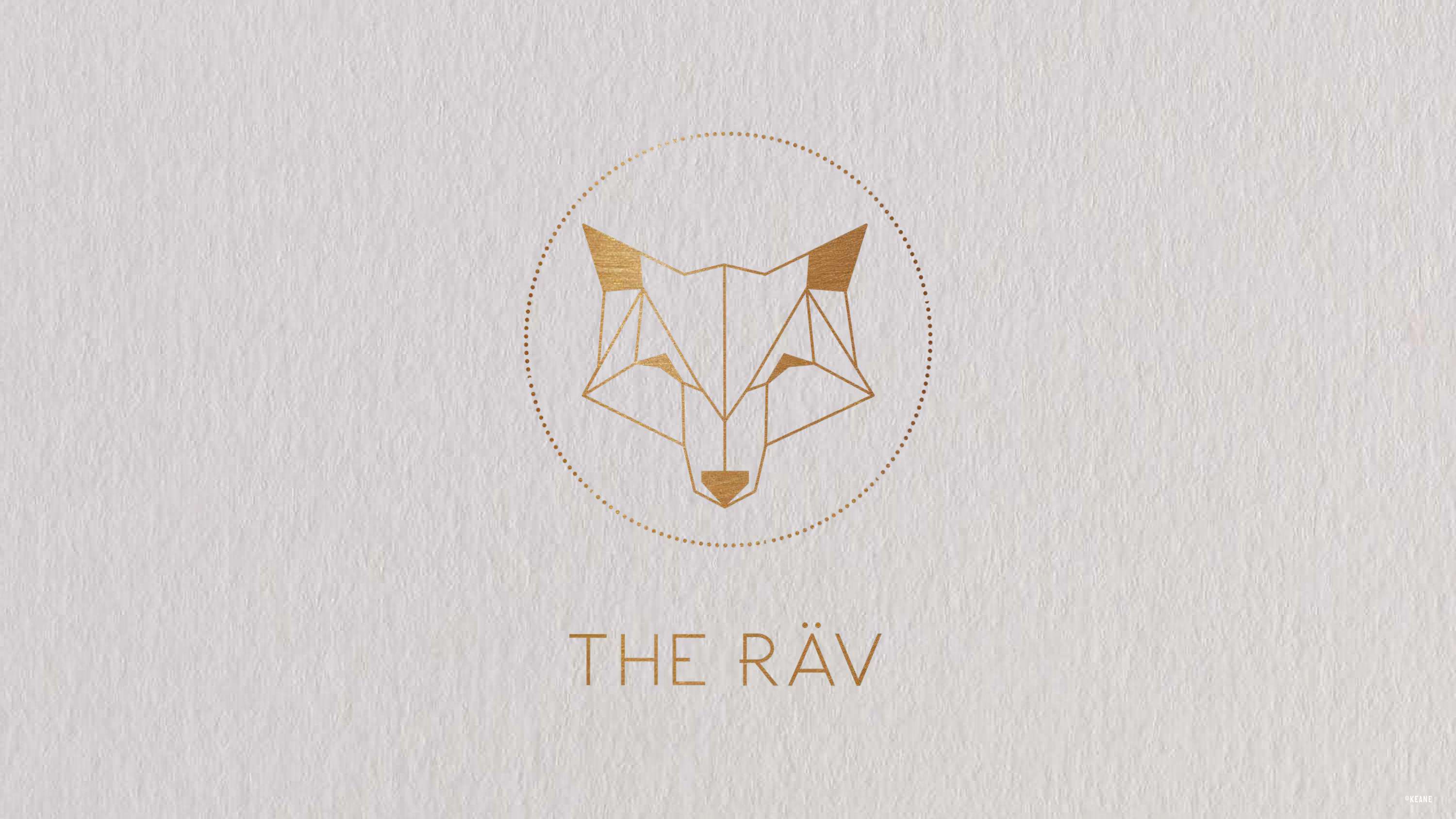 THE RAV by Fiona Hall