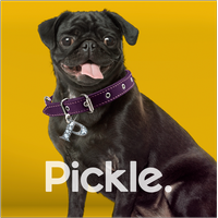 Pickle logo