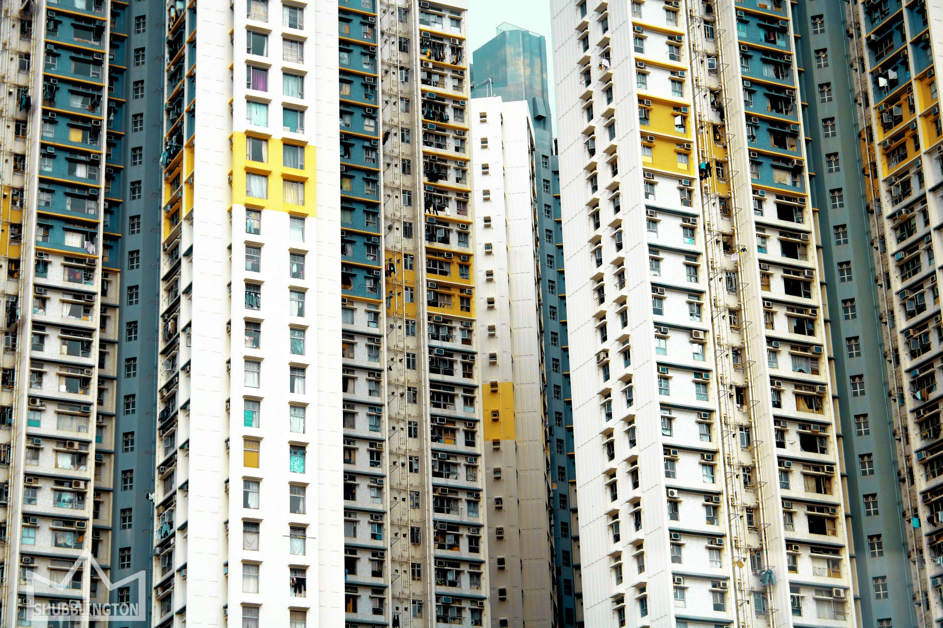 HONG KONG by Shelby ⠀