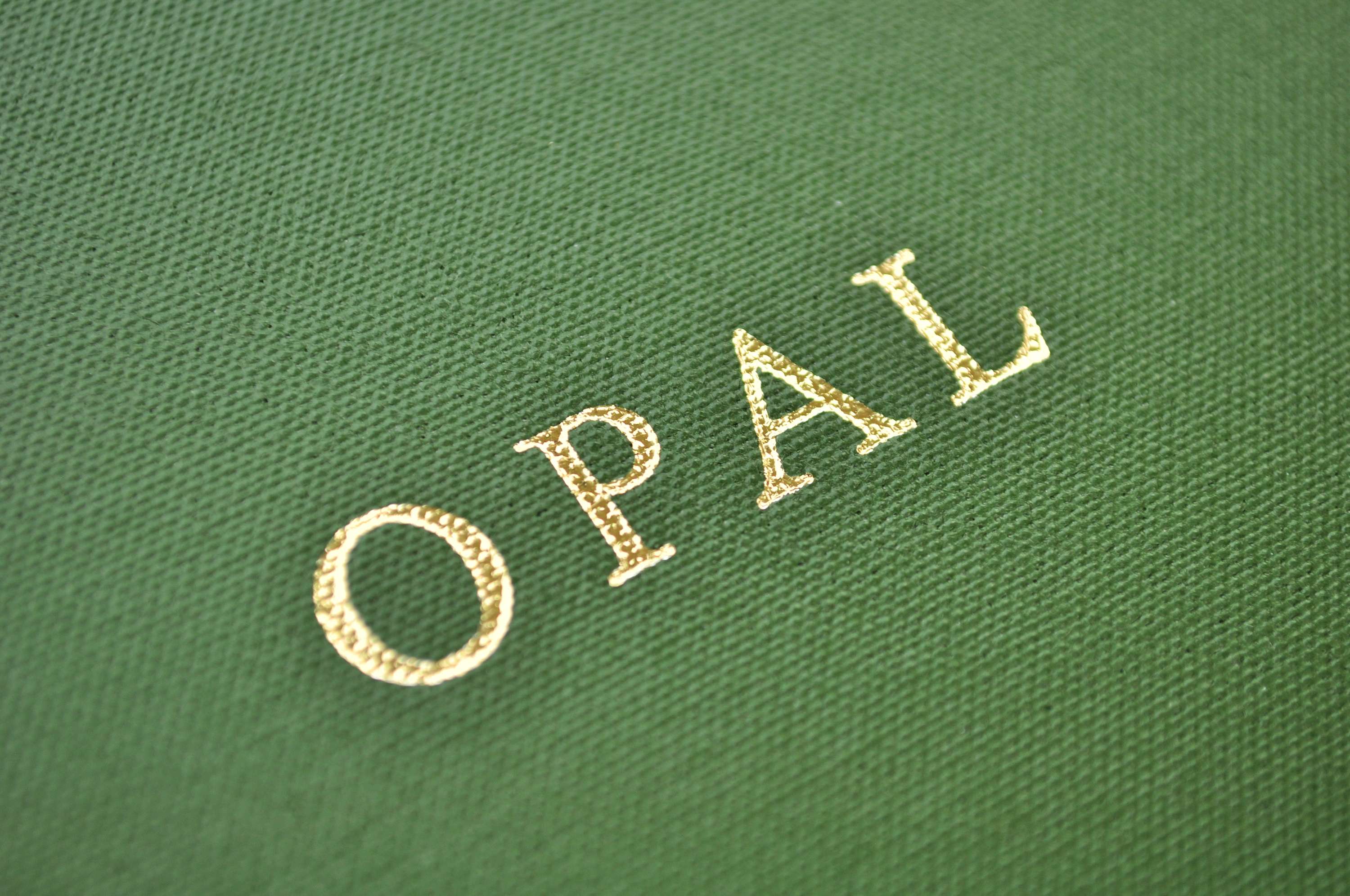 OPAL by Amelia Haines