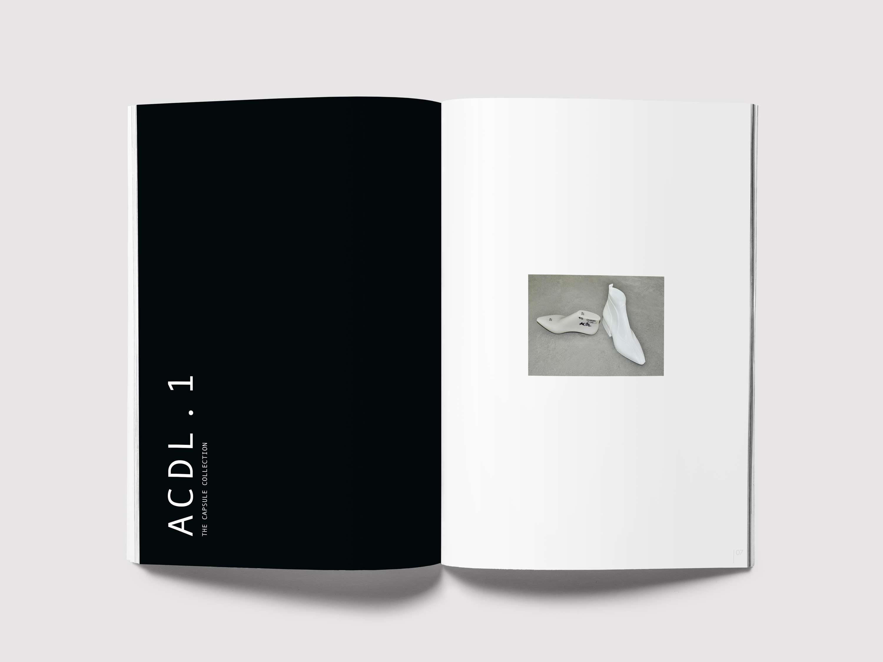 Editorial Design Project for ACDL by Anne Schubert